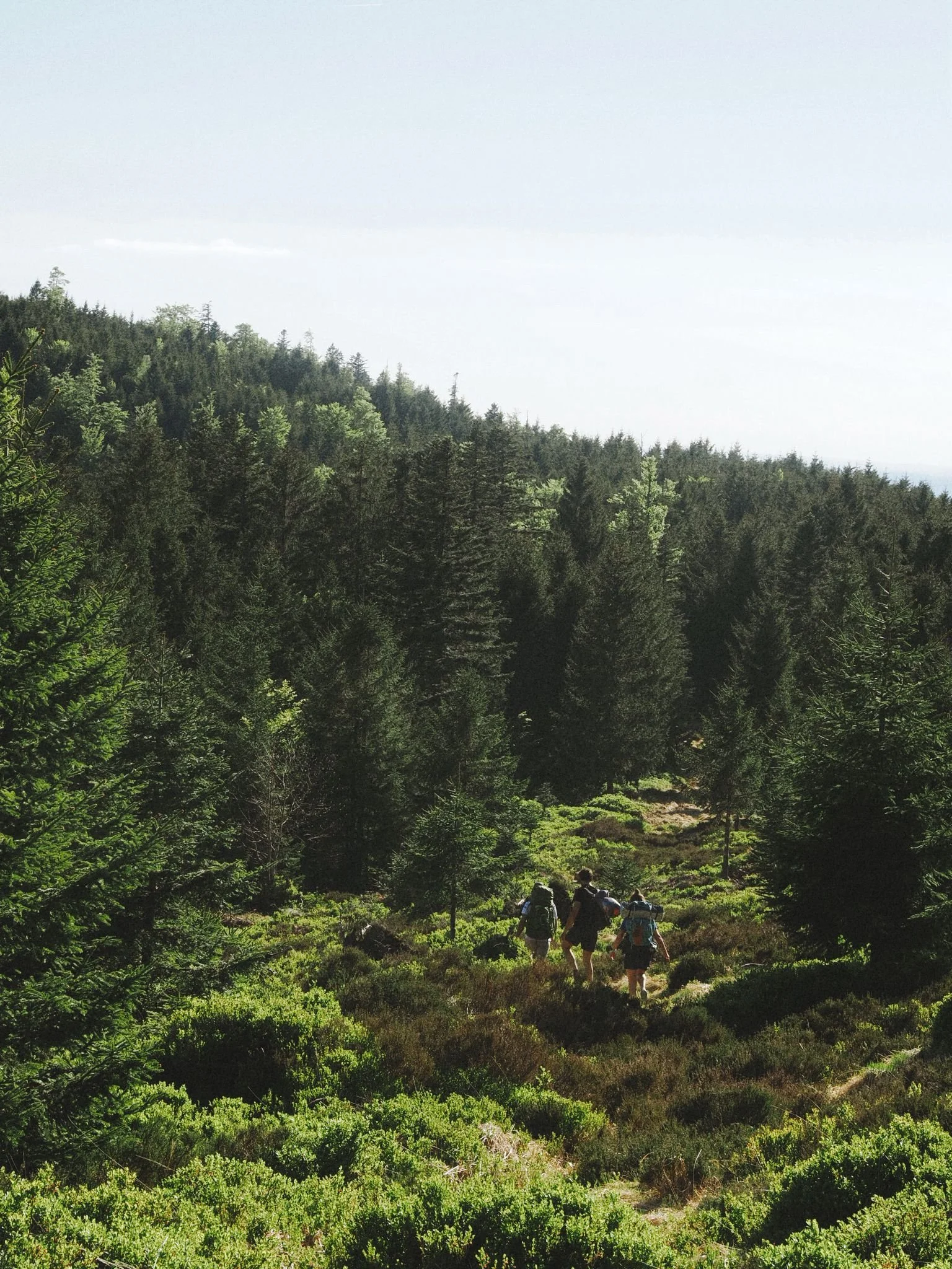 Plaisir des sentiers - Office du tourisme Vallée de la Bruche 2026