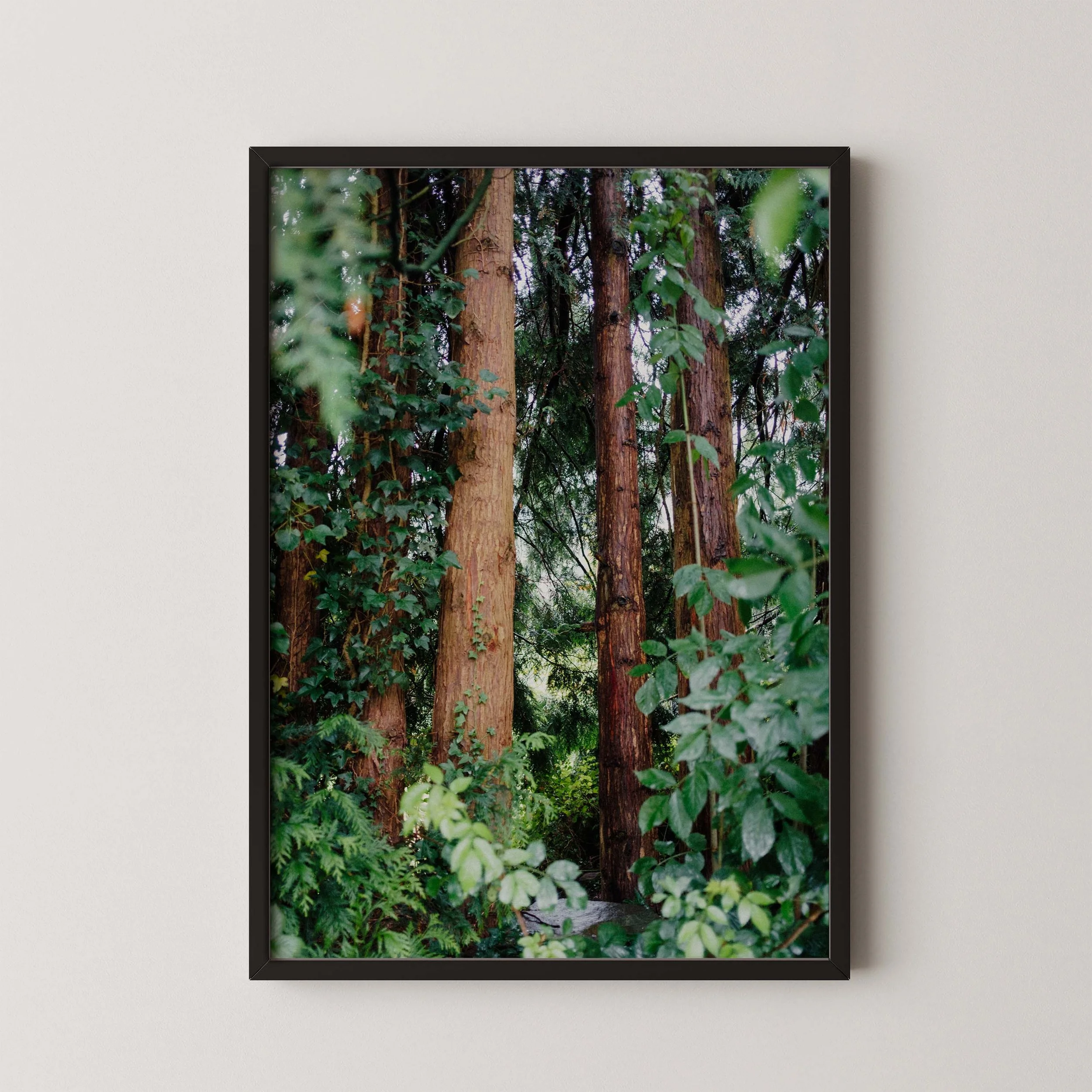 IN THE TREES SIDE.jpg