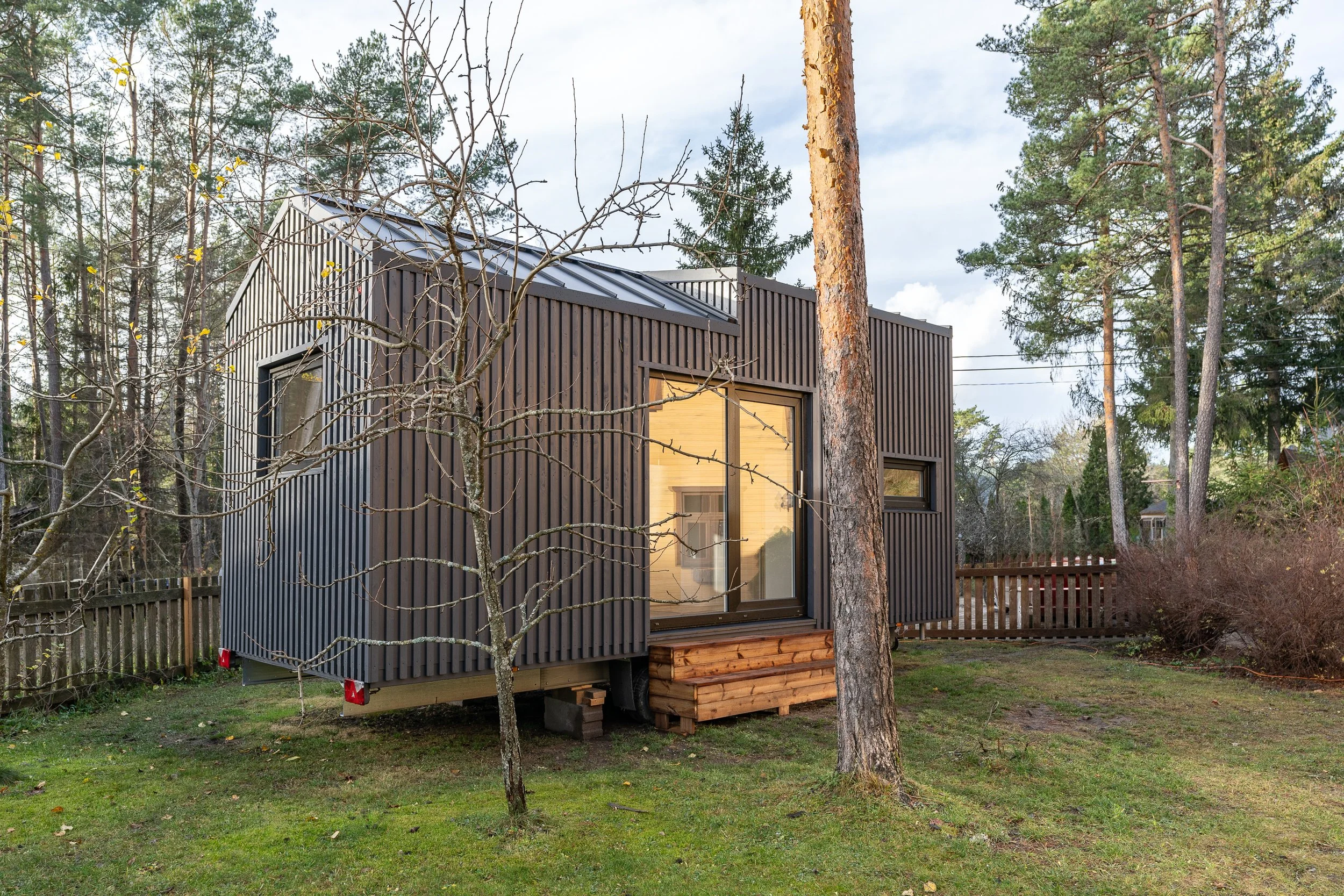 DSC08903_Tiny (1).JPG