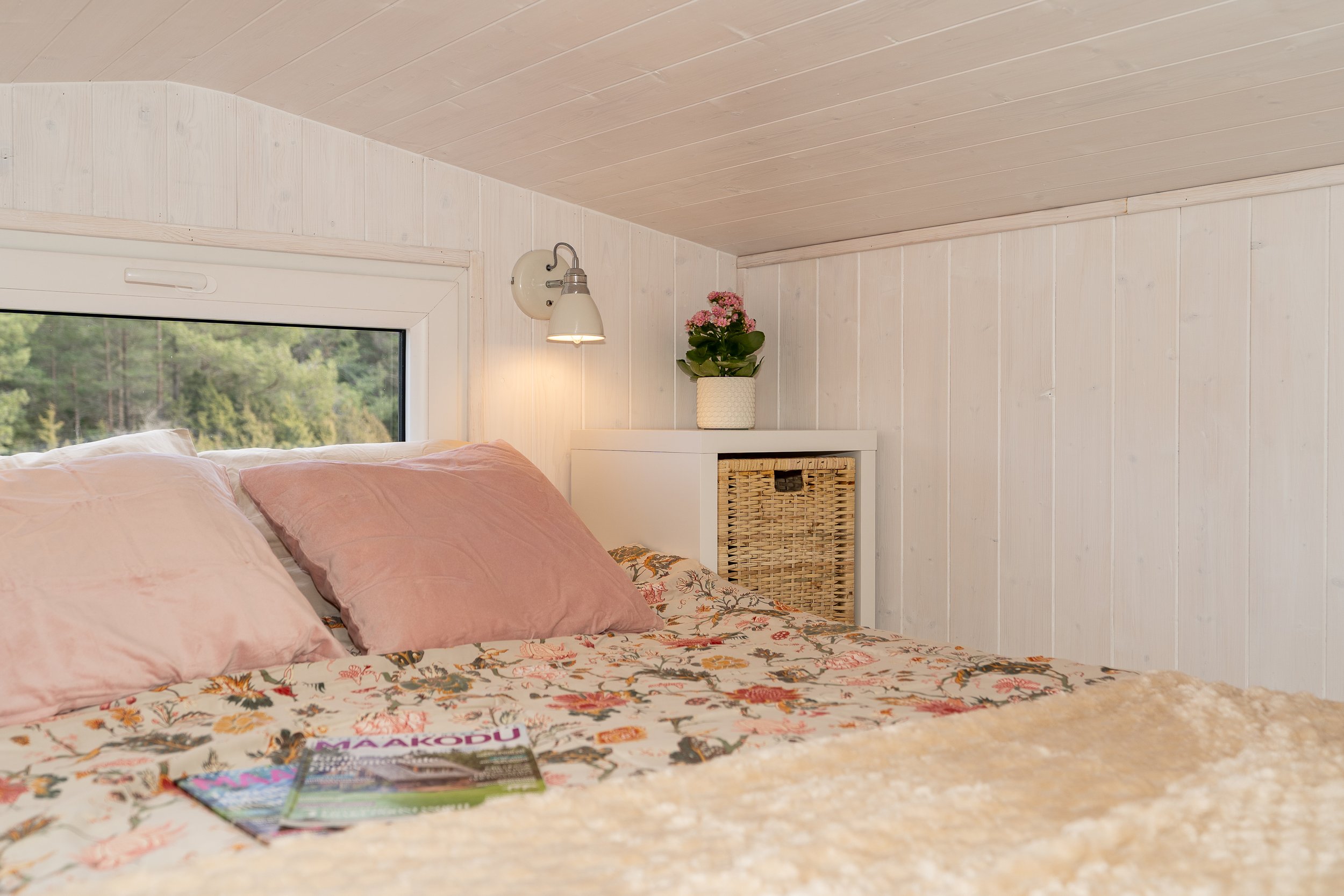 DSC03077_Tiny.jpg