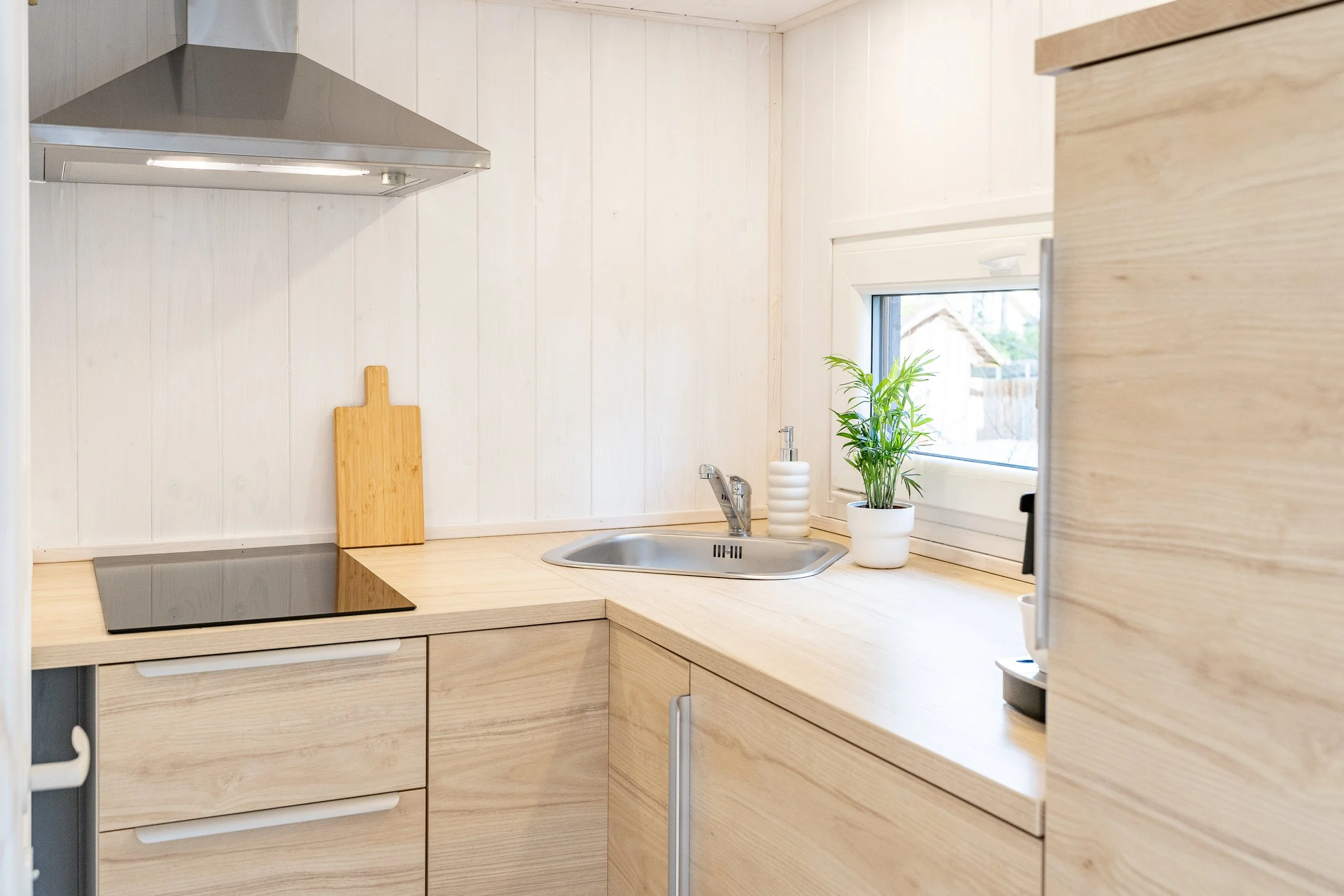 DSC08893_Tiny (1).JPG