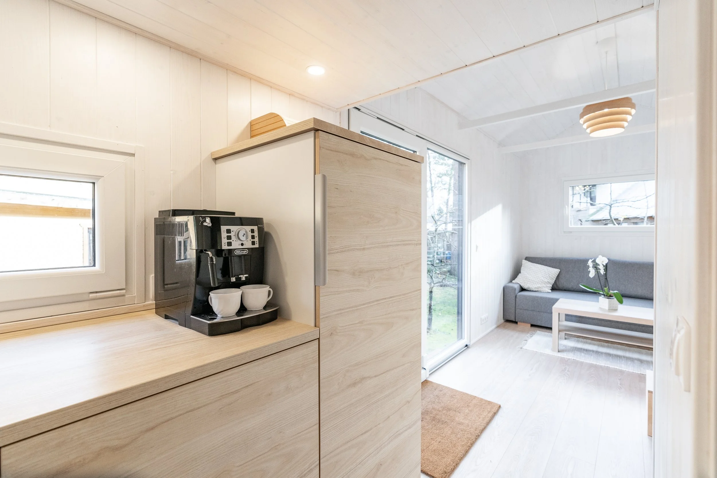 DSC08897_Tiny (1).JPG