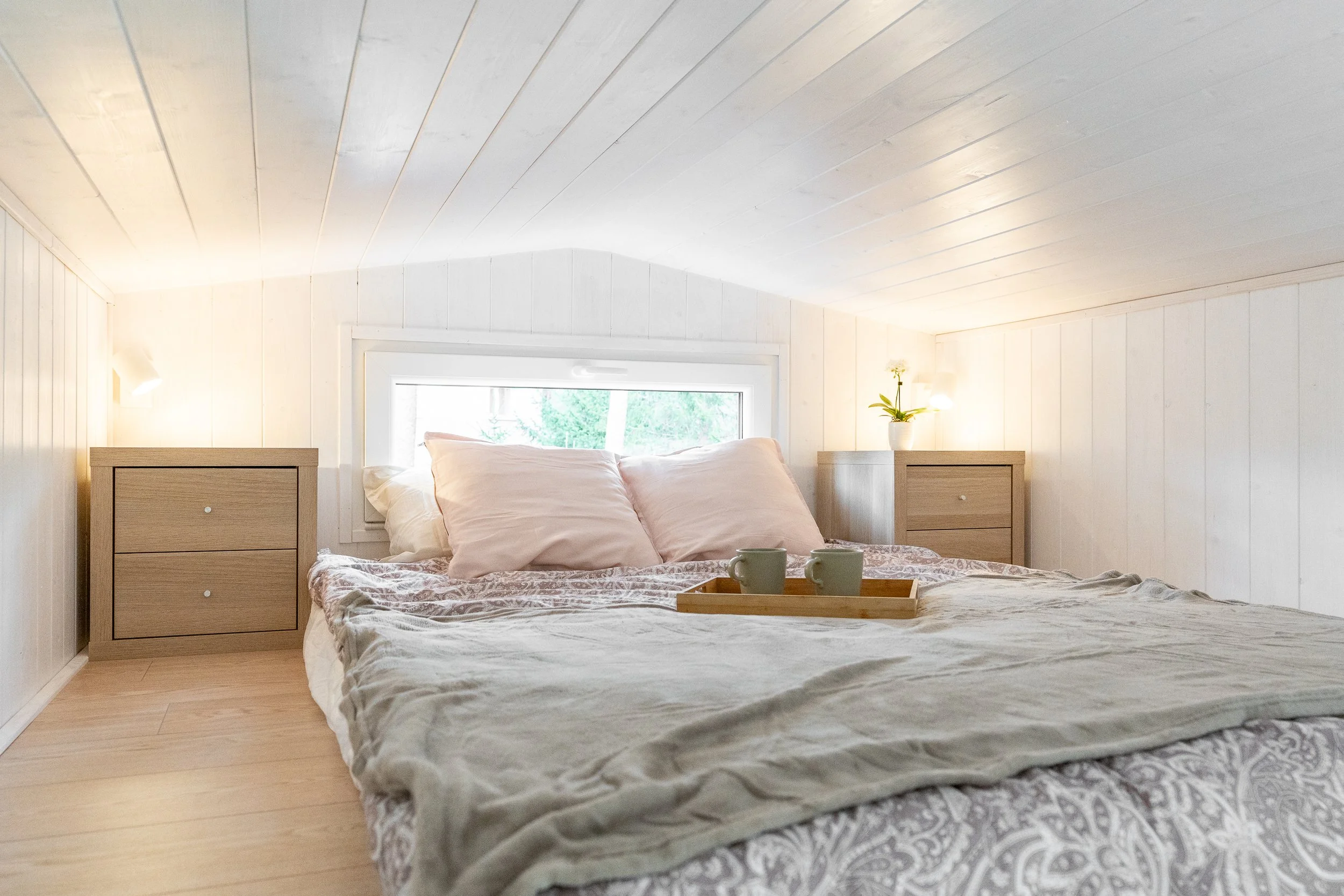 DSC08887_Tiny (1).JPG