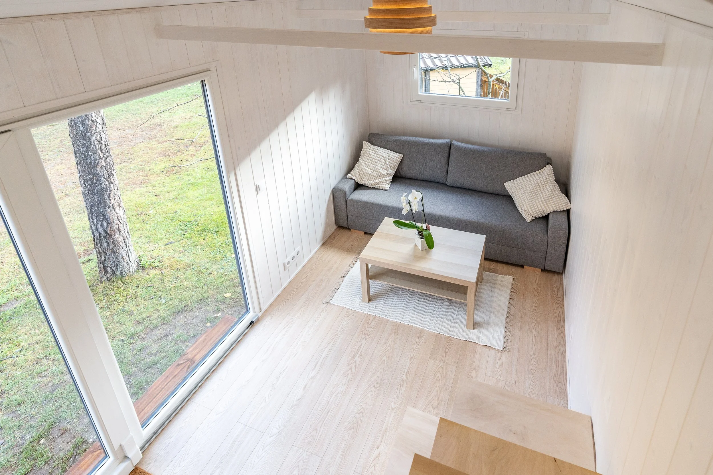 DSC08890_Tiny (1).JPG