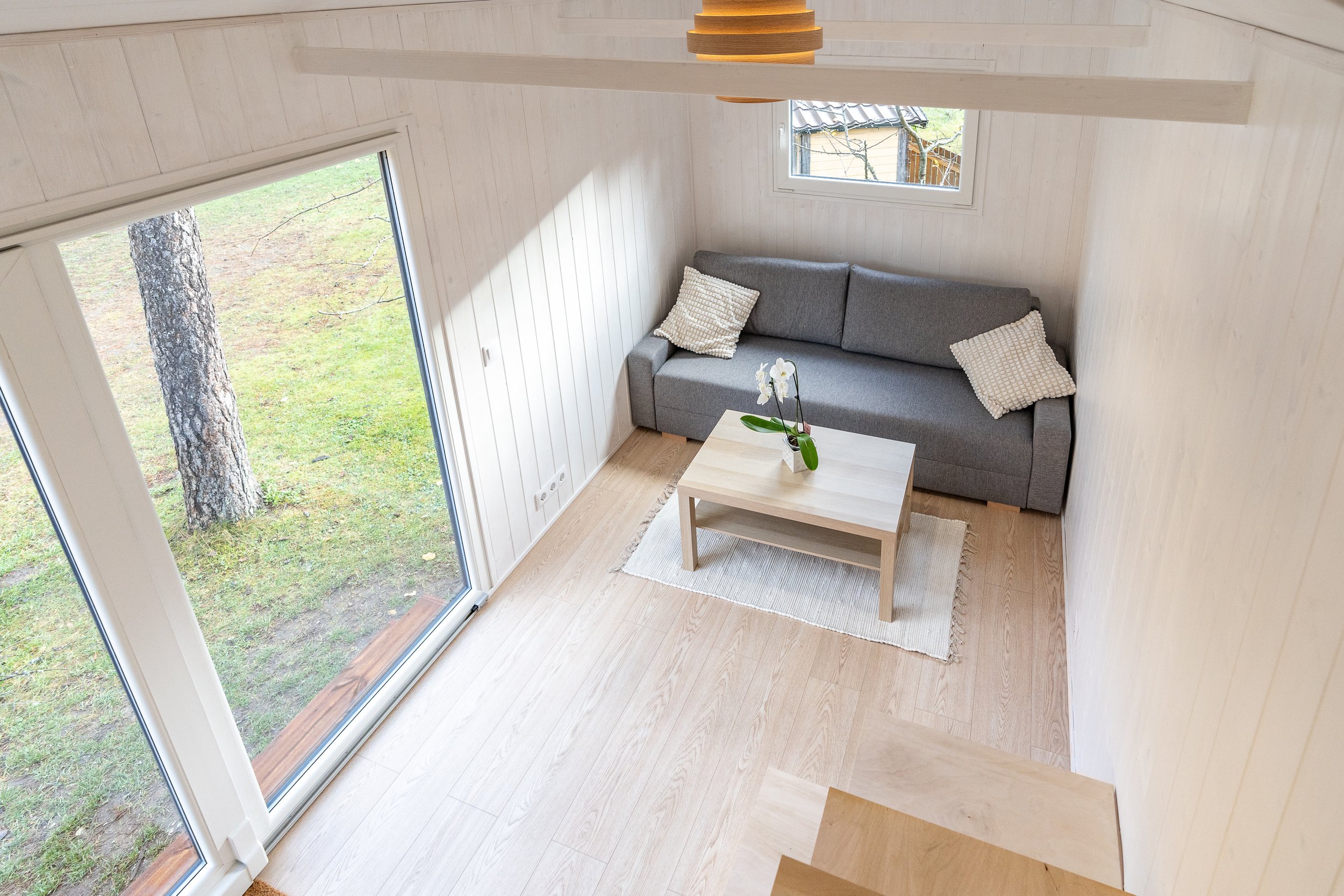 DSC08890_Tiny (1).JPG