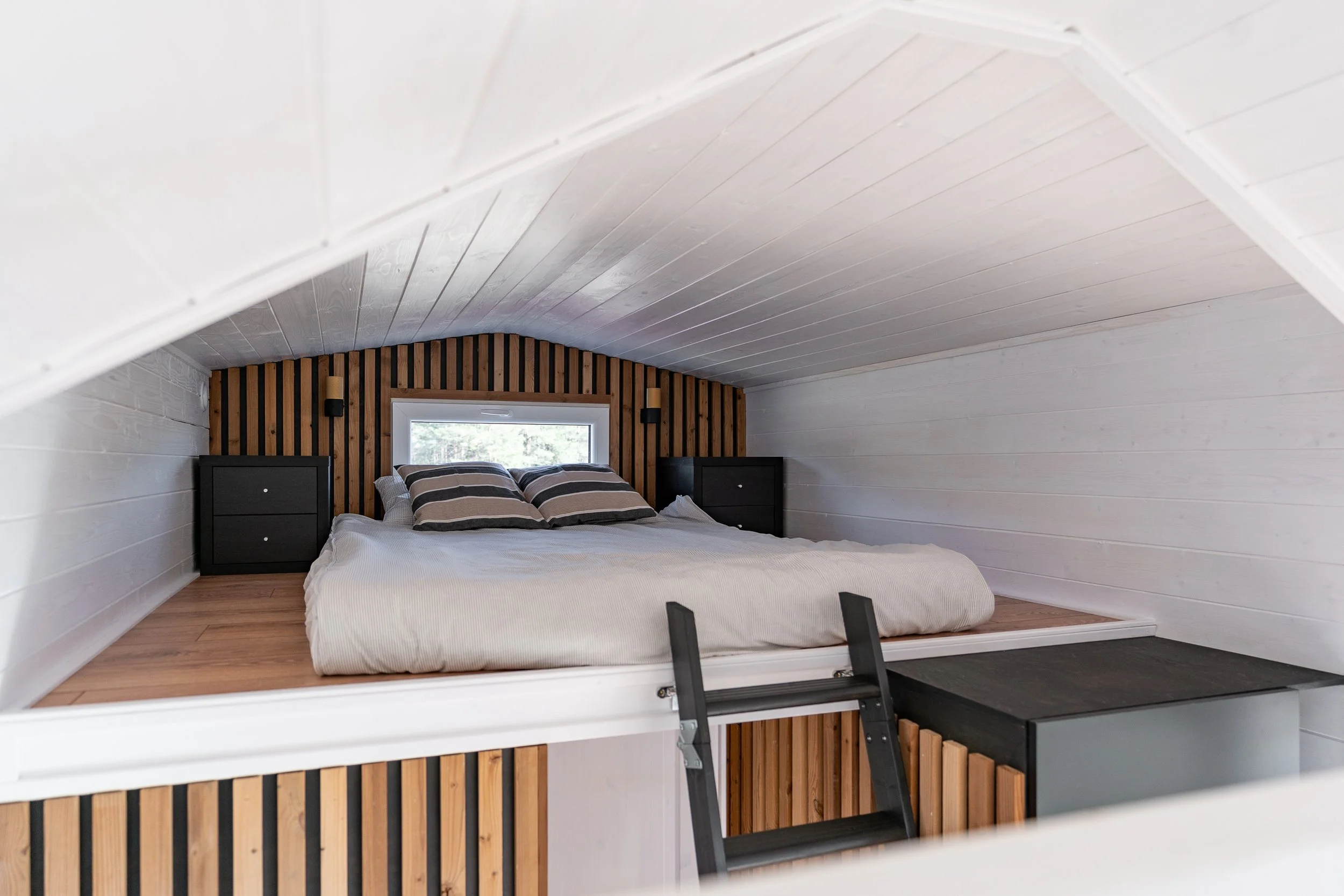 DSC01750_Tinysaun.jpg