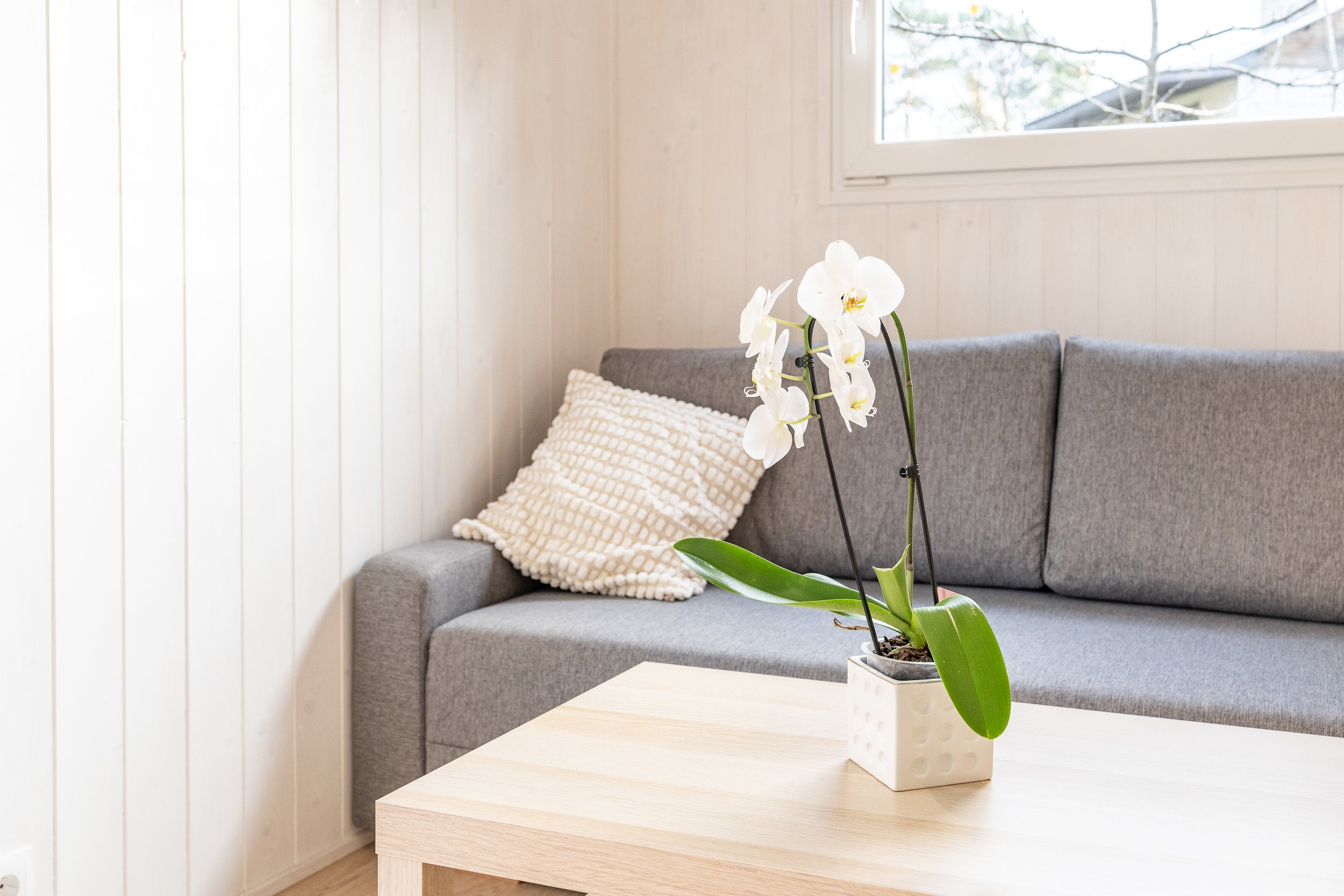 DSC08892_Tiny (1).JPG