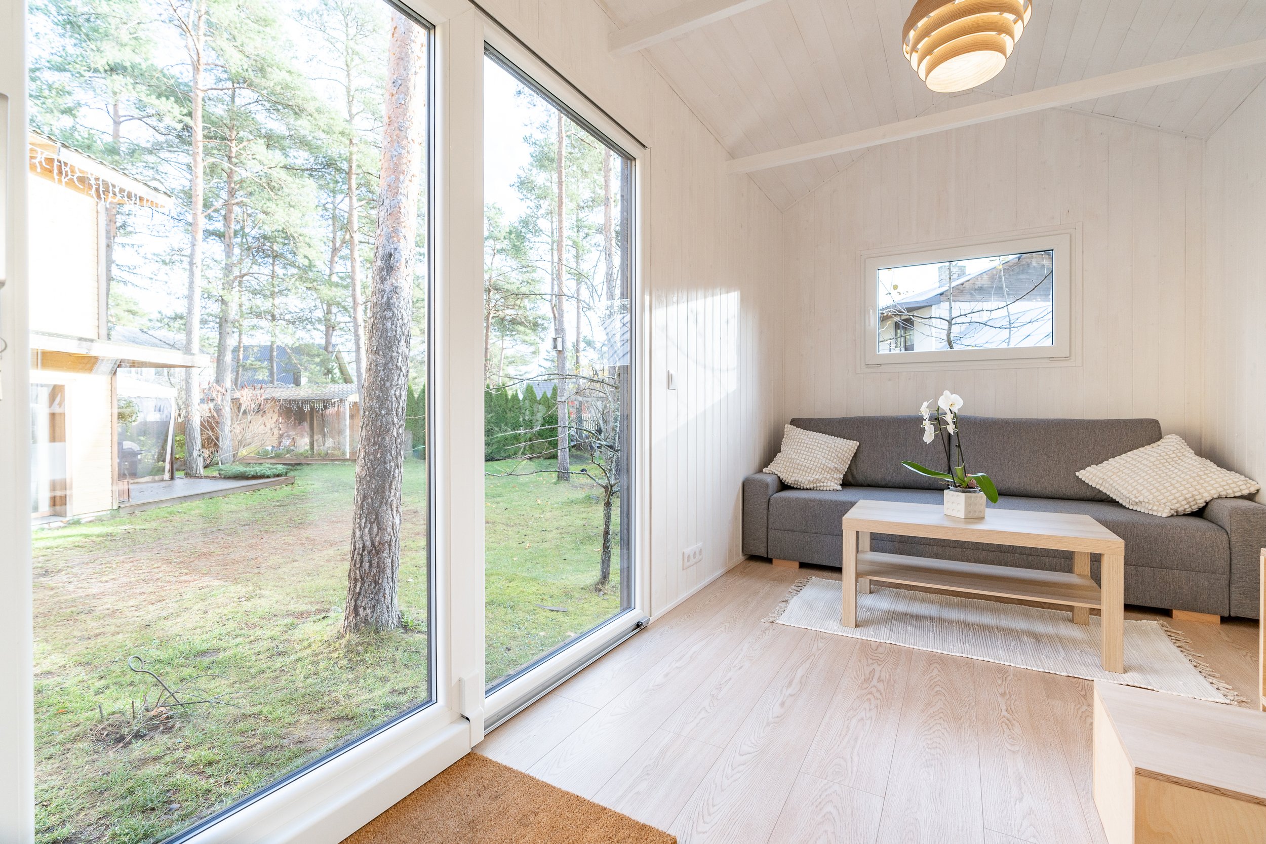 DSC08899_Tiny (1).JPG