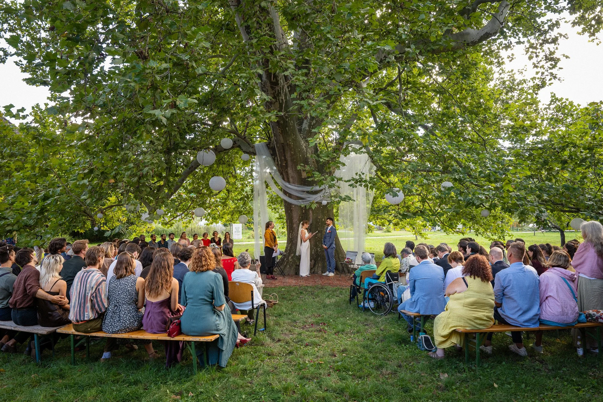 Ein Outdoor-Hochzeitszeremonie unter einem großen Baum mit vielen Gästen, die auf Bänken sitzen, während das Brautpaar sich vor einem Zeremonienleiter gegen die Baumrinde stellt.