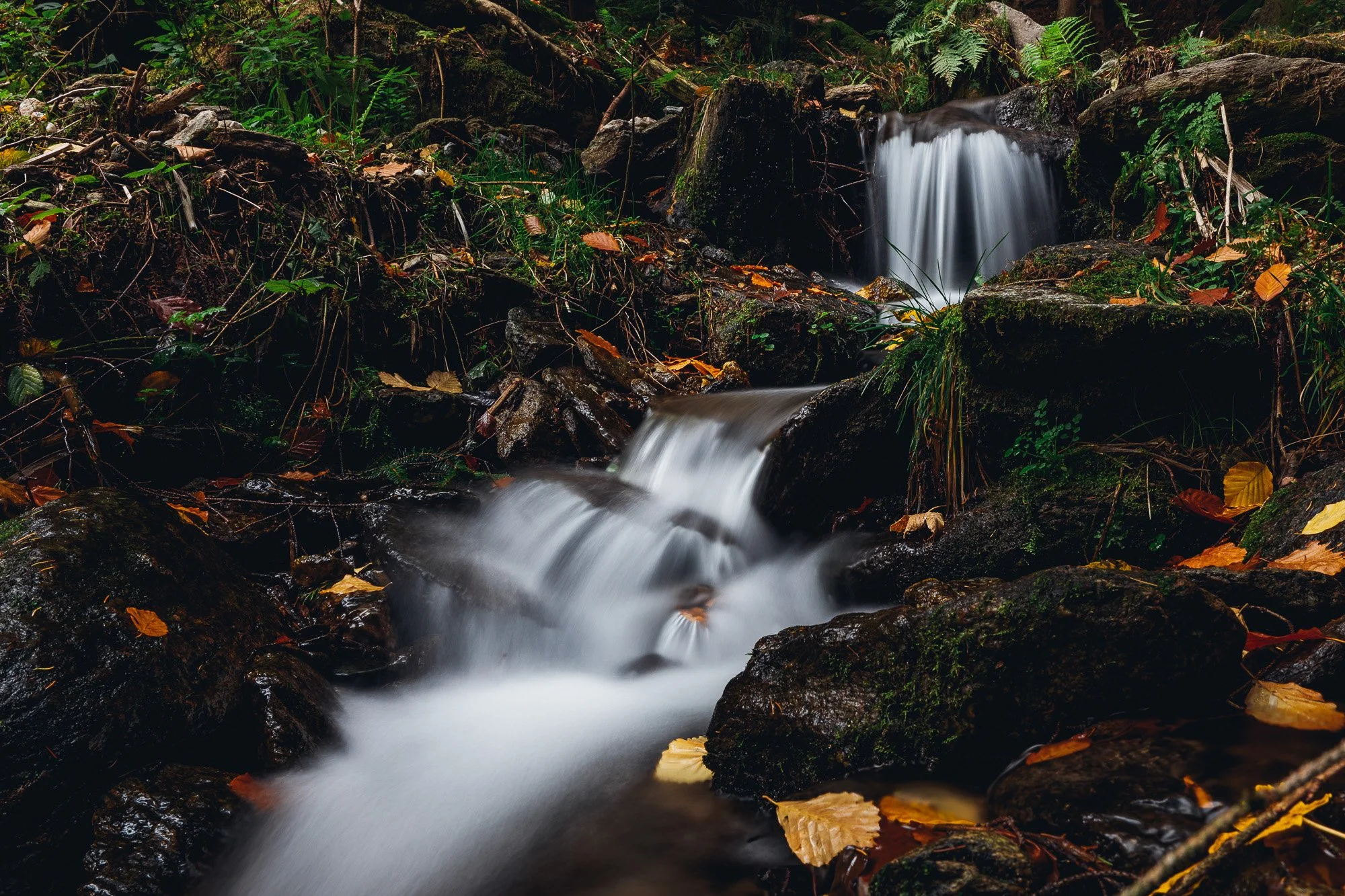 Ein kleiner Wasserfall in einem dunklen, bewaldeten Gebiet mit moosbedeckten Steinen und herabfallenden Blättern.