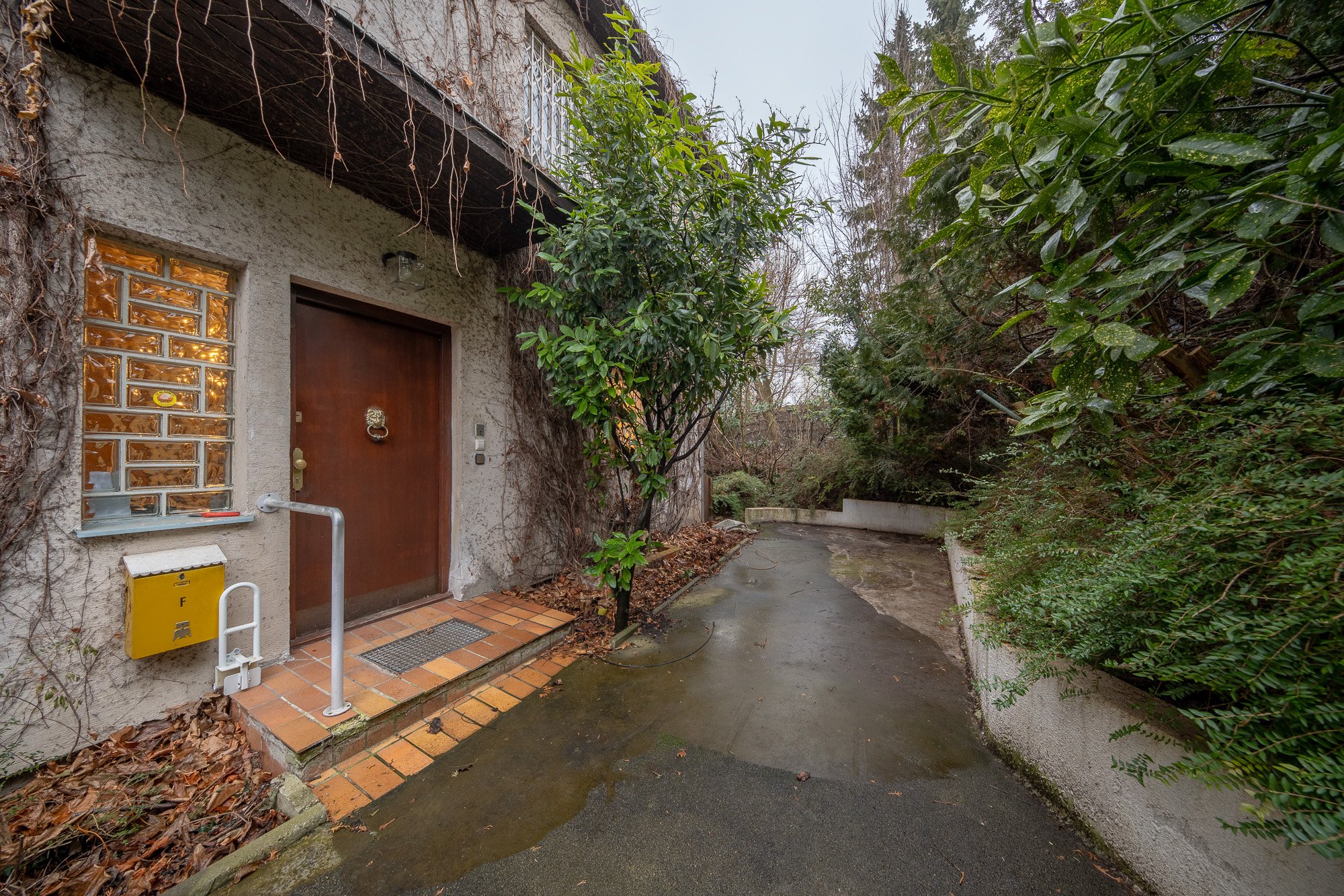 Eingangstür eines Hauses mit tropfendem Wasser, umgeben von Büschen und Bäumen, nasser Weg und herabgefallene Blätter auf dem Boden, es ist bewölkt.