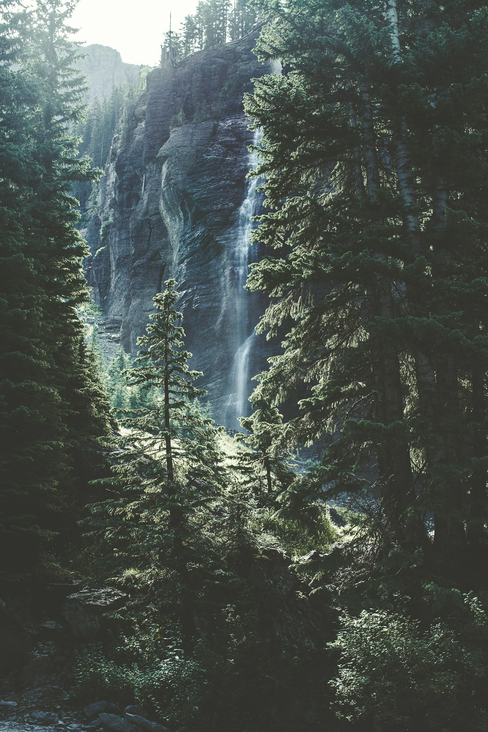 unsplash-image-JoH60FhTp50.jpg