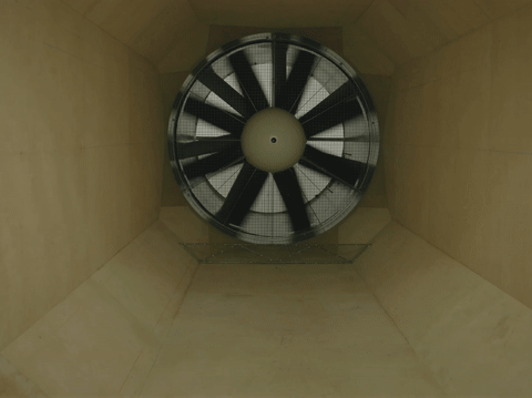 ELITE EVOLVE_WEBSITE GIF.gif