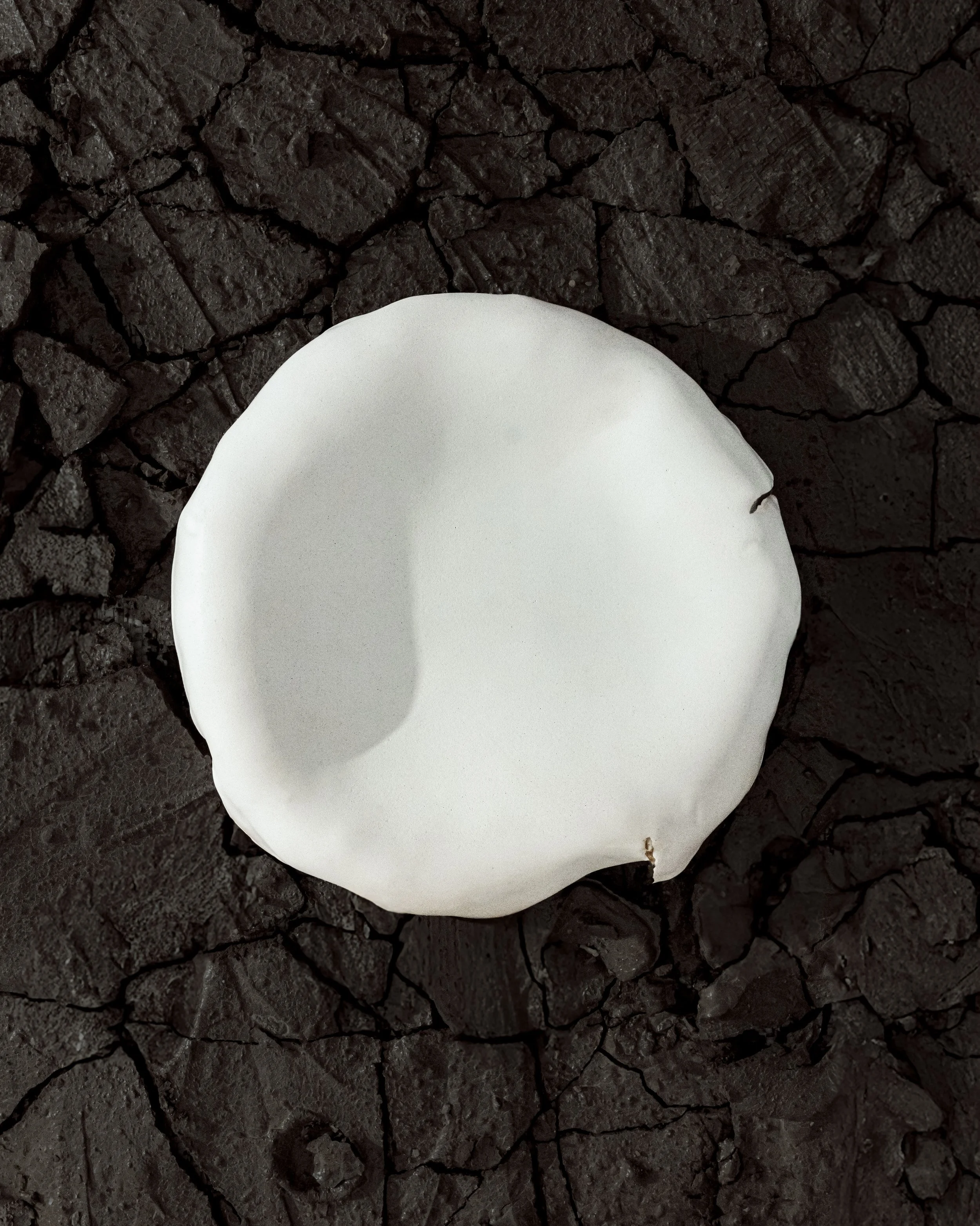 Tectonic Collections