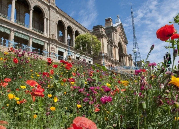 Alexandra Palace & Park - new wildflower planting.jpg