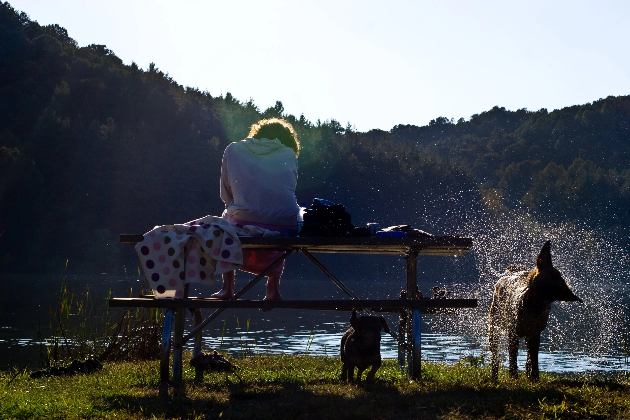 After a long week working in a restaurant, James and his dogs enjoy the summer sunshine and clear lake waters of Maine.