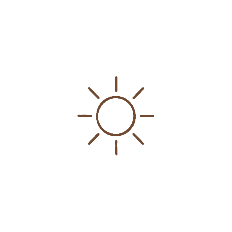 Minimalist icon of the sun with a circle and surrounding lines indicating rays, in brown color.