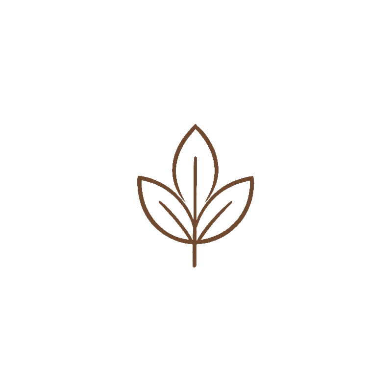 A minimalist line drawing of a stylized plant or leaf in brown, with three leaves and a central stem, on a black background.