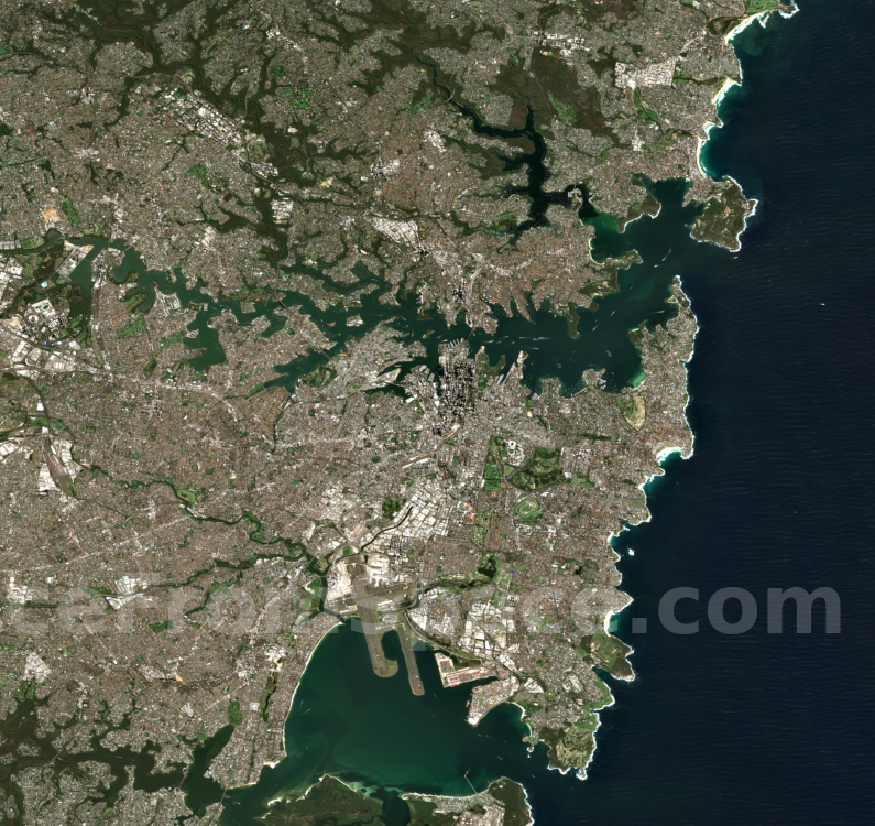 Sydney, Australia – August 31, 2025