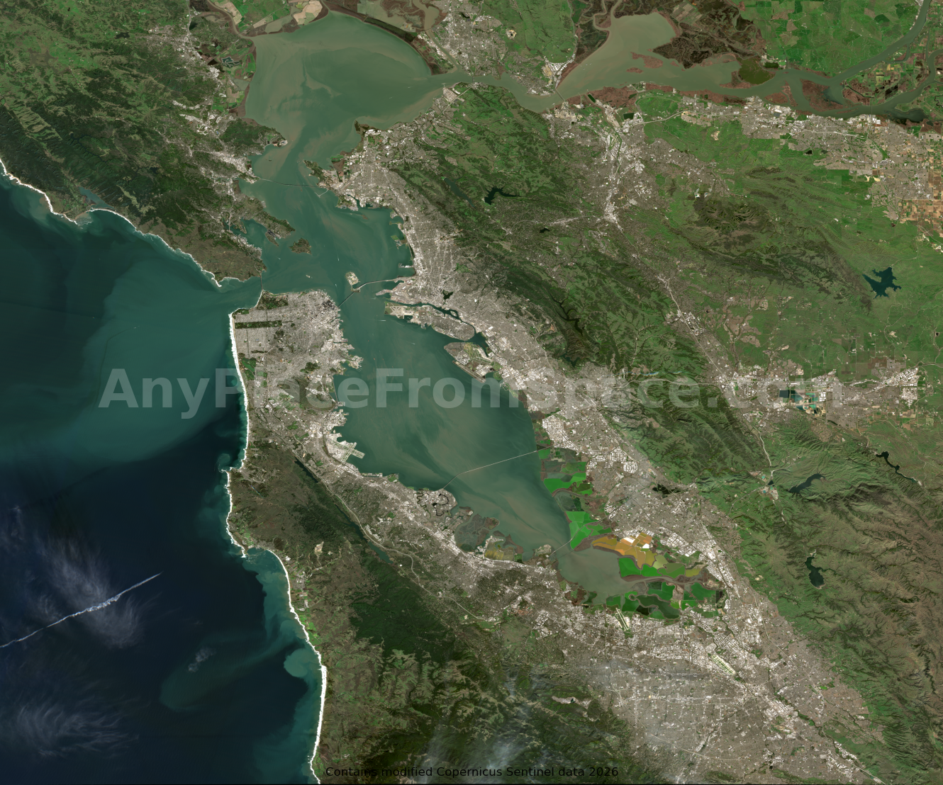 San Francisco Bay from Space | San Francisco Satellite Image & Bay Area Map Art