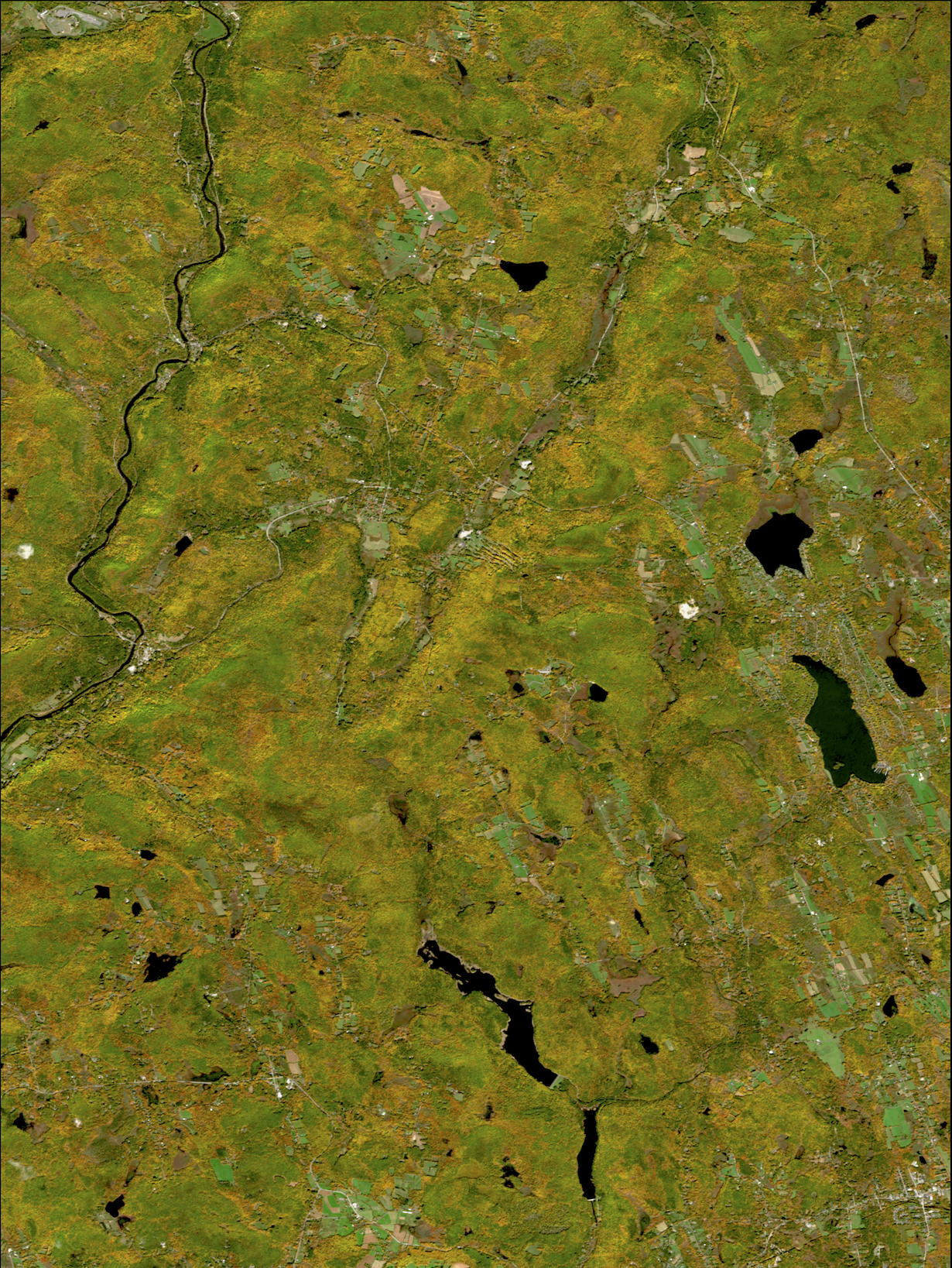 image (7).png