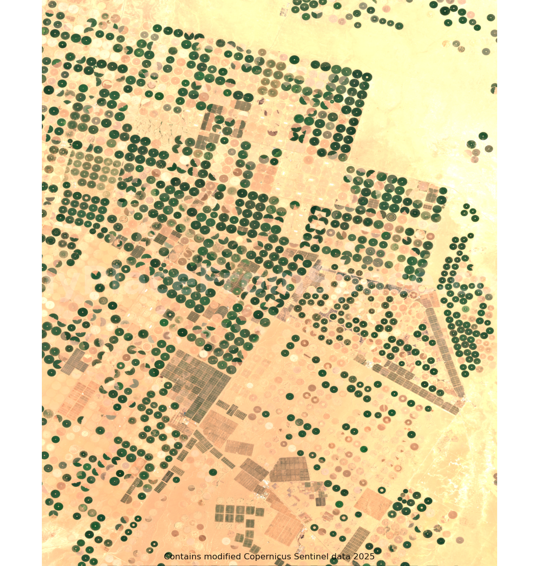 Saudi Arabia Agriculture from Space | Saudi Arabia Agriculture Satellite Image & Map Art | Digital Download