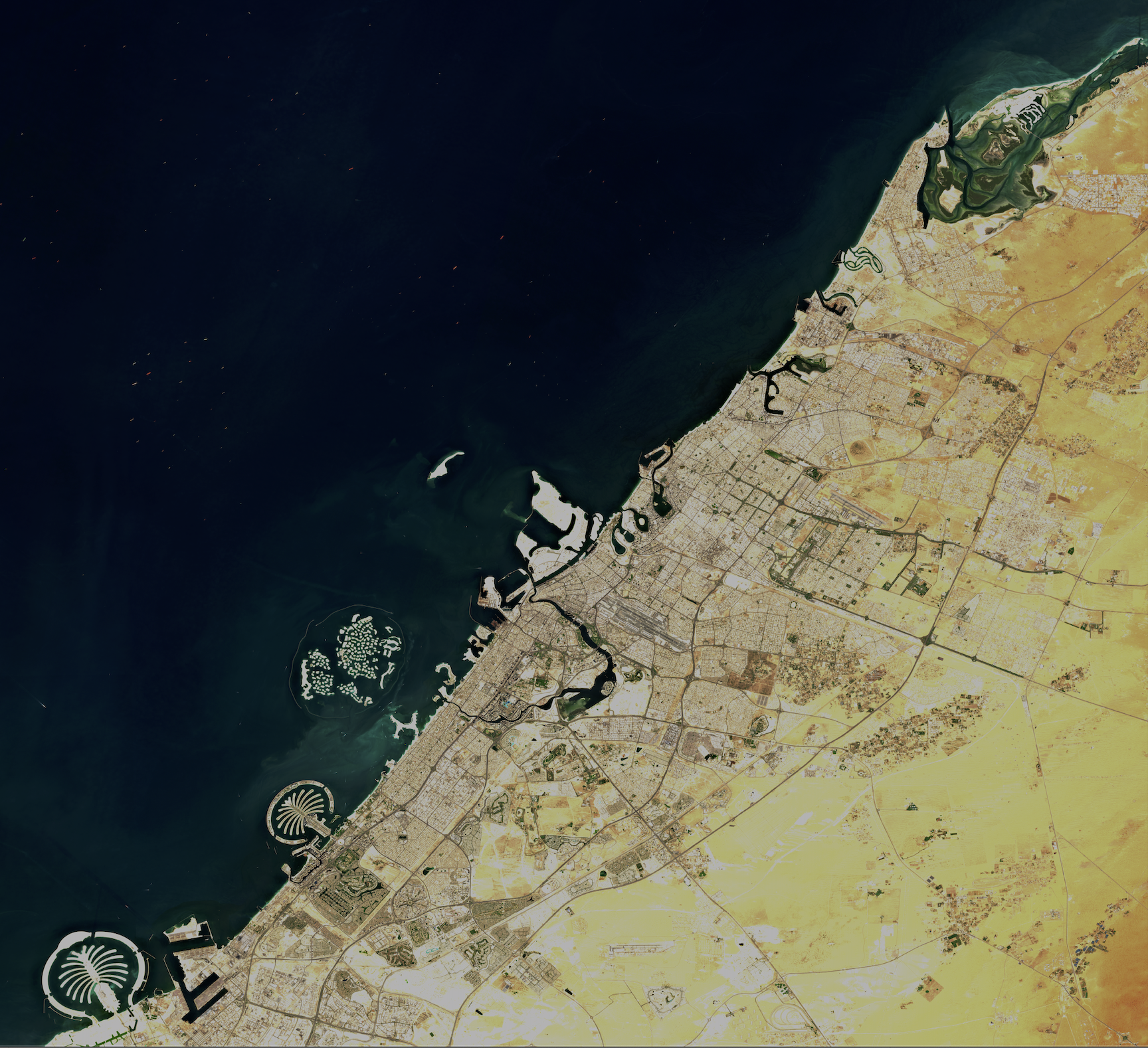 image (4).png