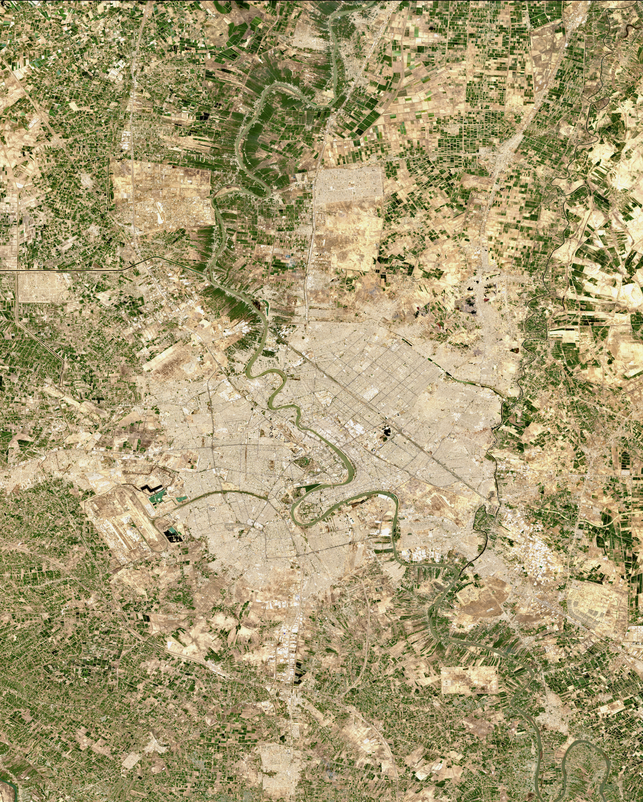 image (6).png