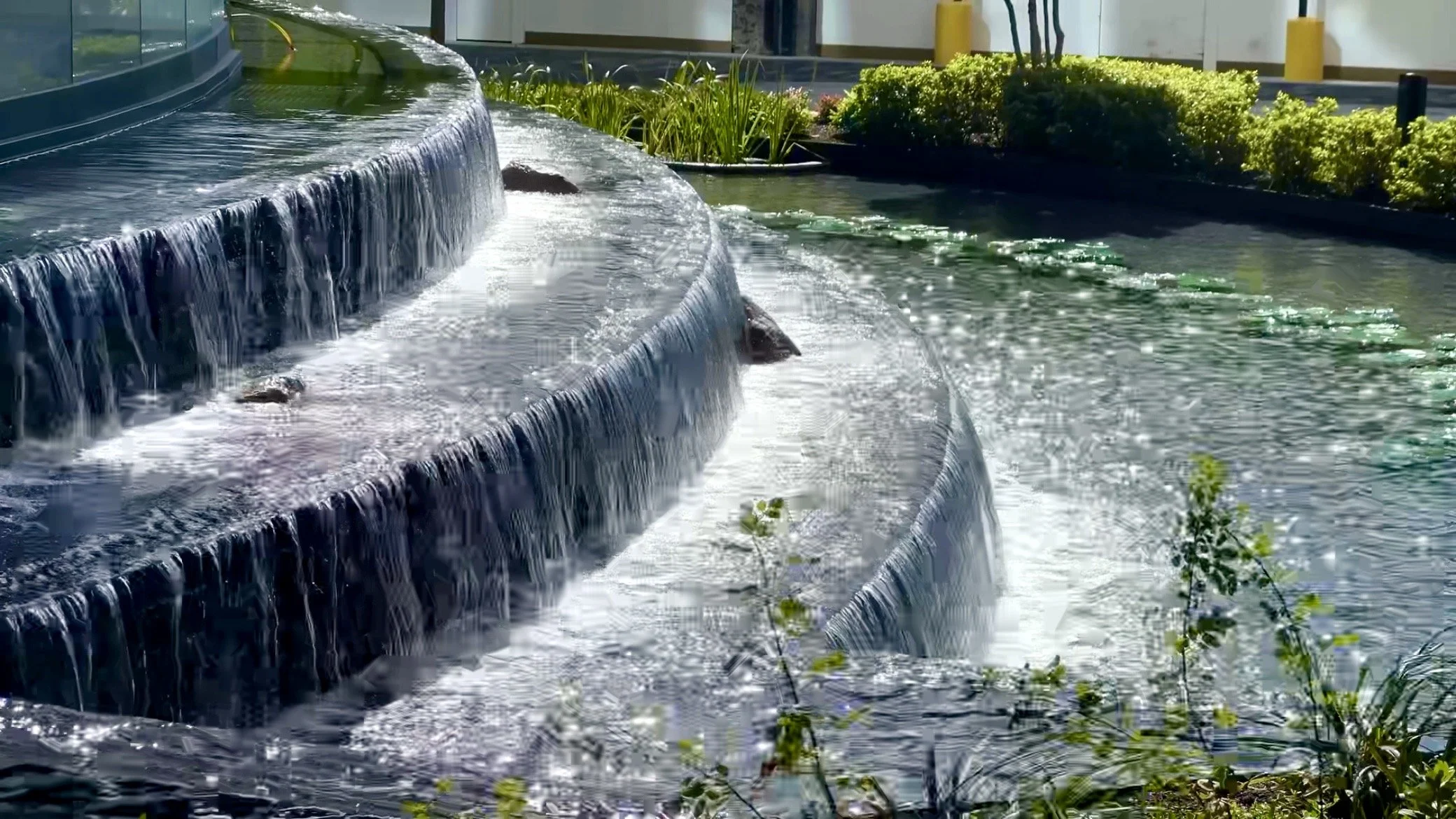 White City Living | Lifestyle | Film