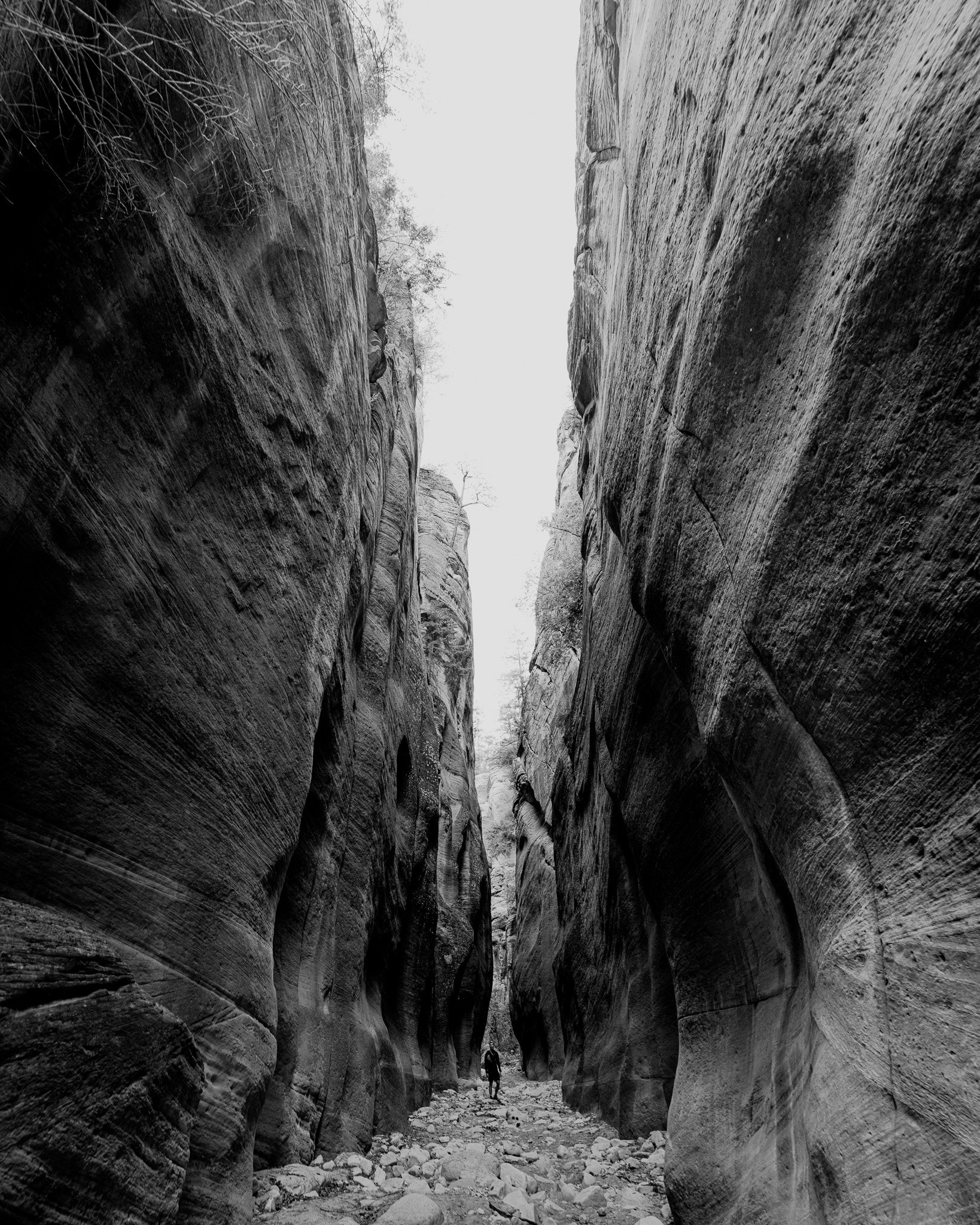 Zion Narrows, Utah