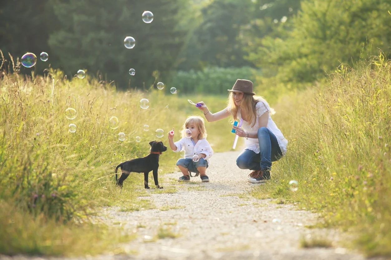 iStock-1146279134.jpg