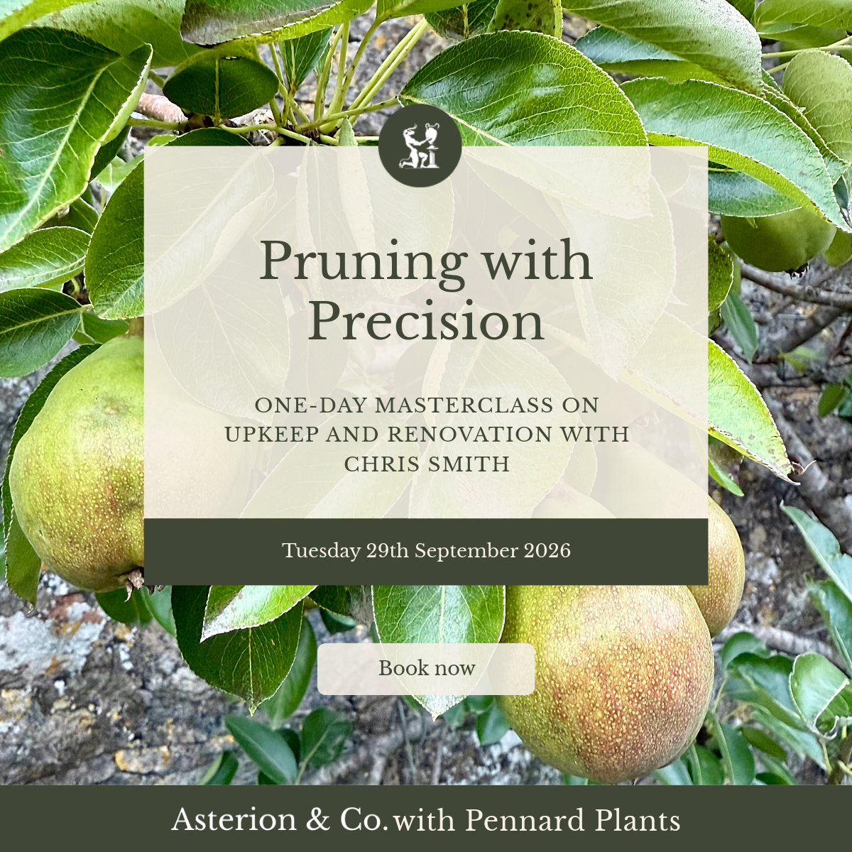 Pruning with Precision: One-Day Masterclass on Upkeep and Renovation. | Tuesday 29th September 2026