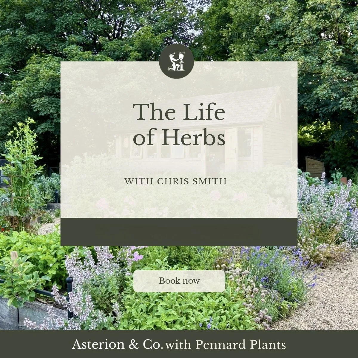 The life of herbs title Asterion and Co.jpeg
