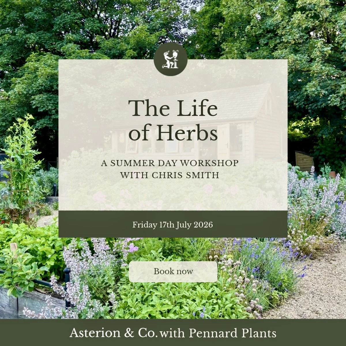 The Life of Herbs: A Summer Day Workshop. | Friday 17th July 2026