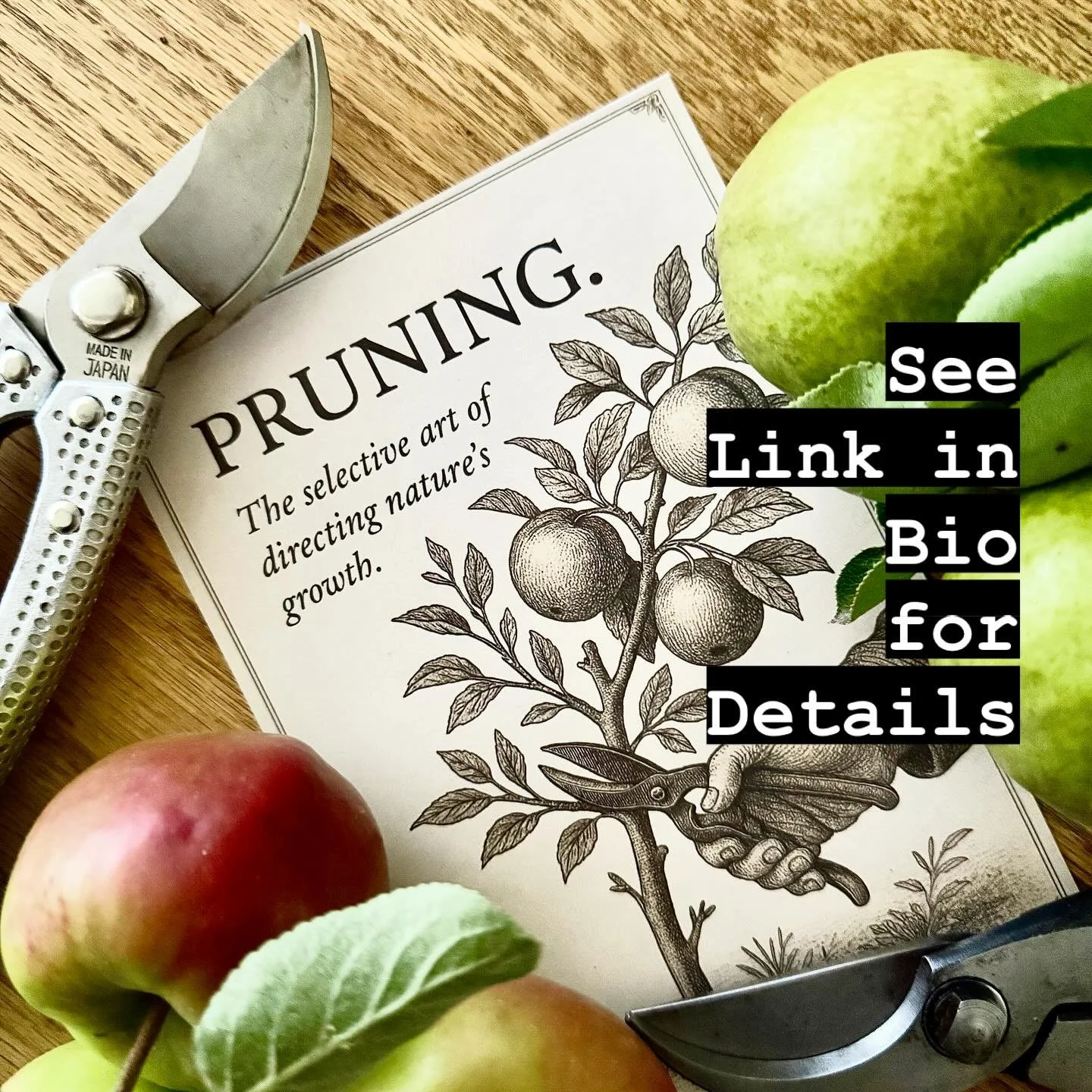 ✂️🌿See link in bio for details&hellip; Excited to announce Asterion &amp; Co. Masterclasses on fruit tree pruning - Tuesday 4th or Wednesday 10th September. Book now - link in bio. Our collaboratior is the wonderful Chris Smith from @plantspennard. 