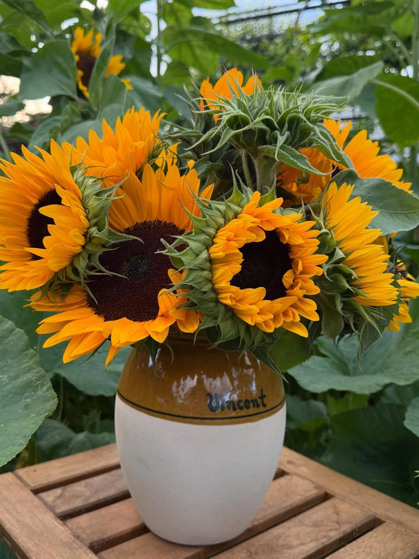 🌻I&rsquo;ve been waiting all summer to fill my @nationalgallery Van Gogh vase with homegrown sunflowers. These flowers never fail to make me smile, add to that the vase with the Vincent signature and 🥳🌻 #asterionandco #vincentvangogh #sunflowers