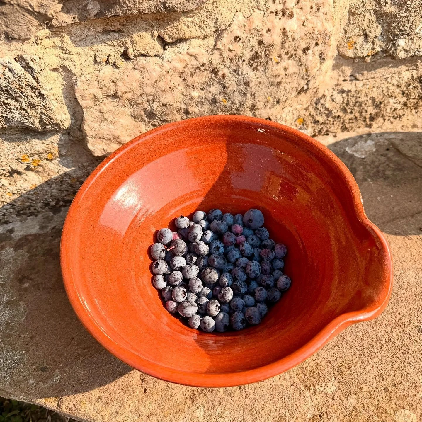 Breakfast blueberries - the last of the blueberries, just one more bush in abundance. This lovely pouring bowl is from @neighbourutility - they have a shop in Frome of beautifully curated vintage and new pieces. They also do amazing barista coffee an