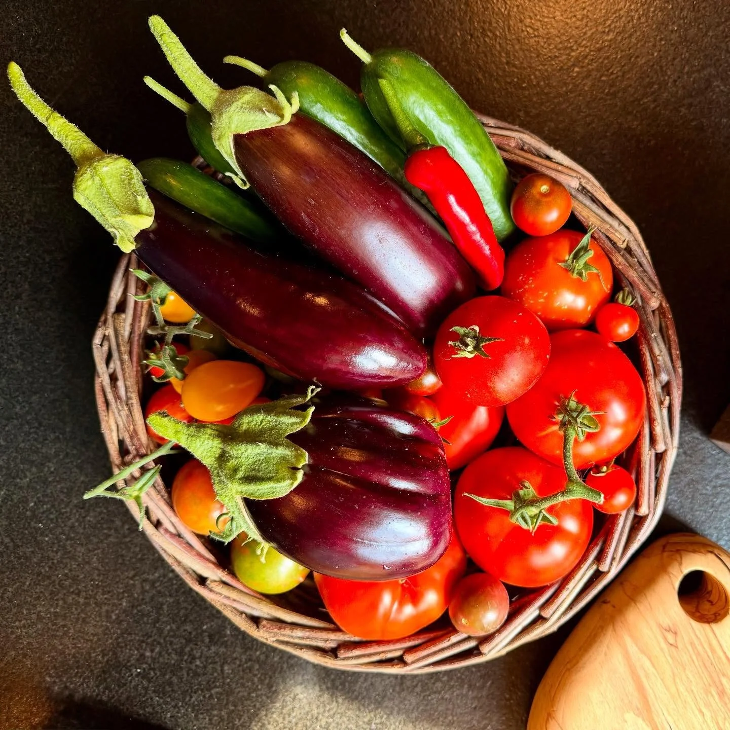 Just in from the kitchen garden&hellip; aubergines of all shapes and sizes. Cooking this lot up later. #asterionandco #kitchengarden  #aubergines #tomatoes #chillies