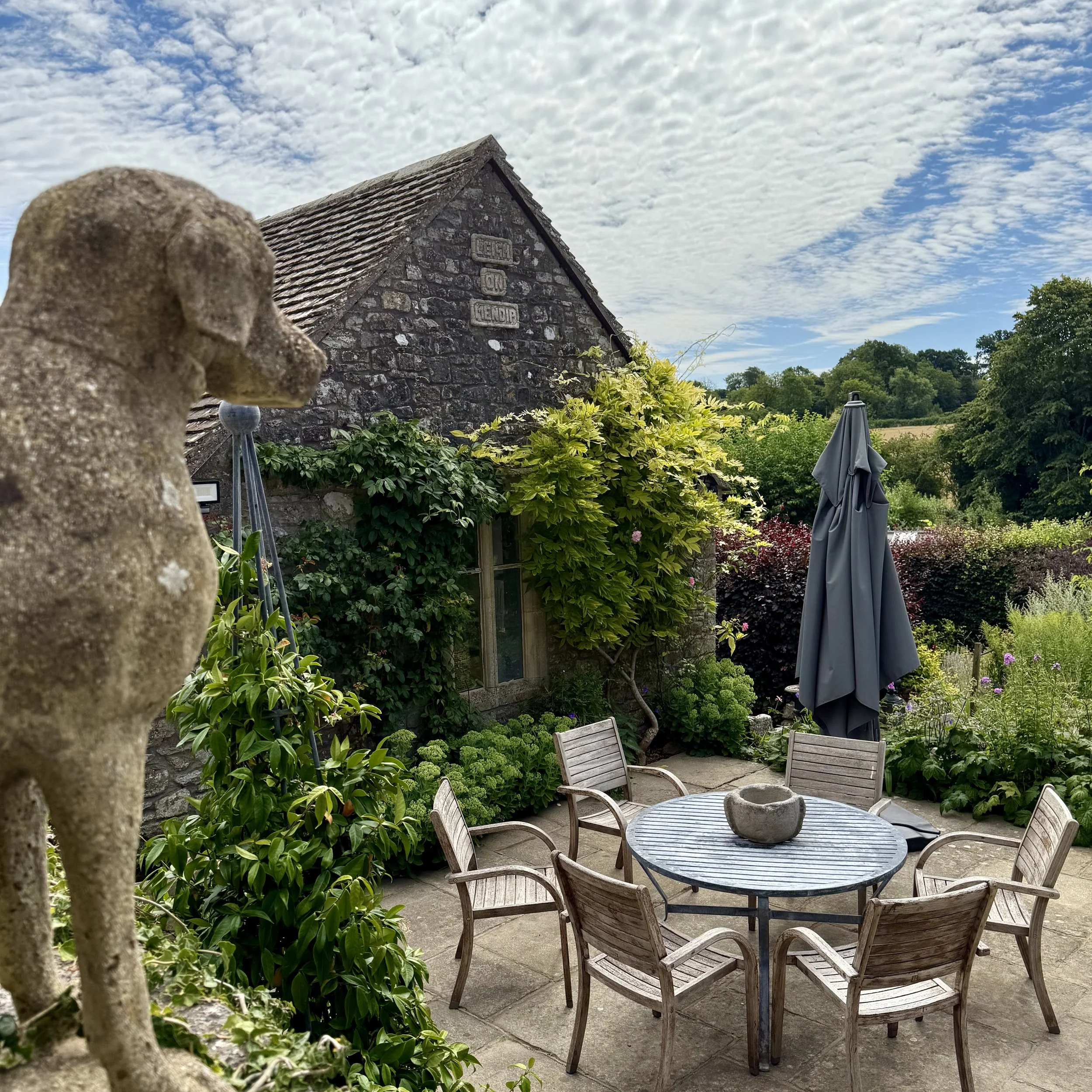 Dog overlooking terrace Asterion and Co.jpeg