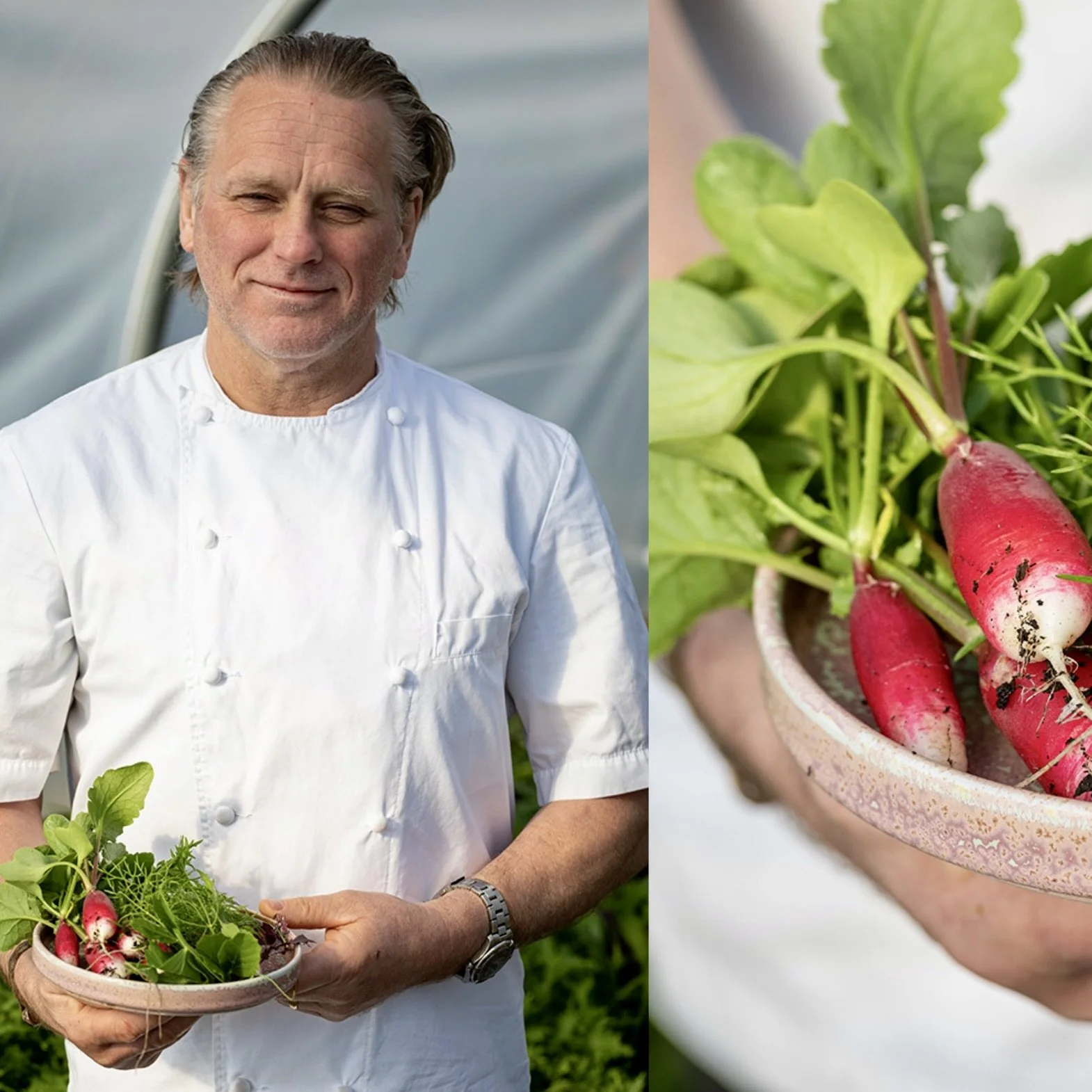 Alan Lucas the Chef at The Holcombe.jpeg