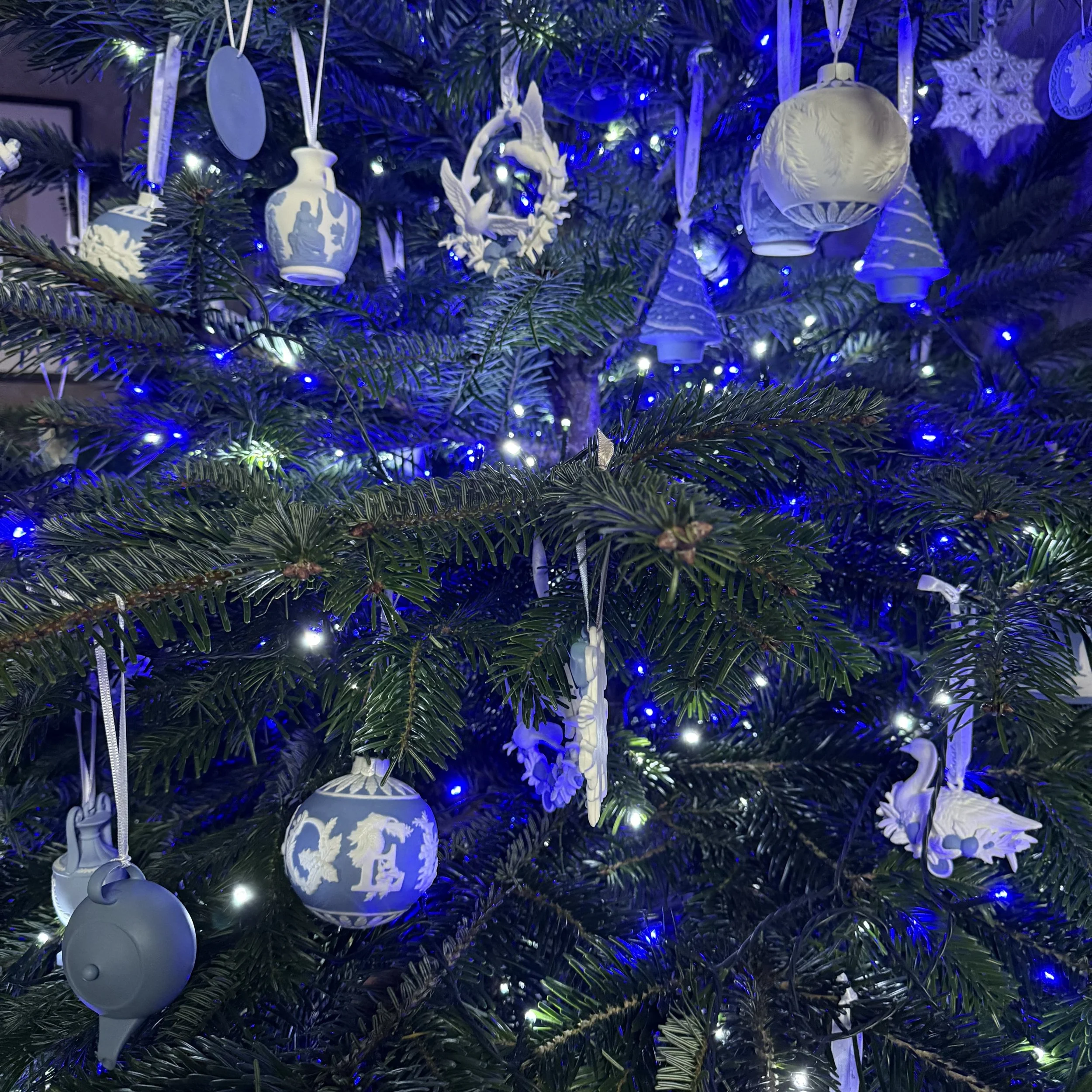 Christmas at The Old Vicarage D Asterion and Co.jpeg