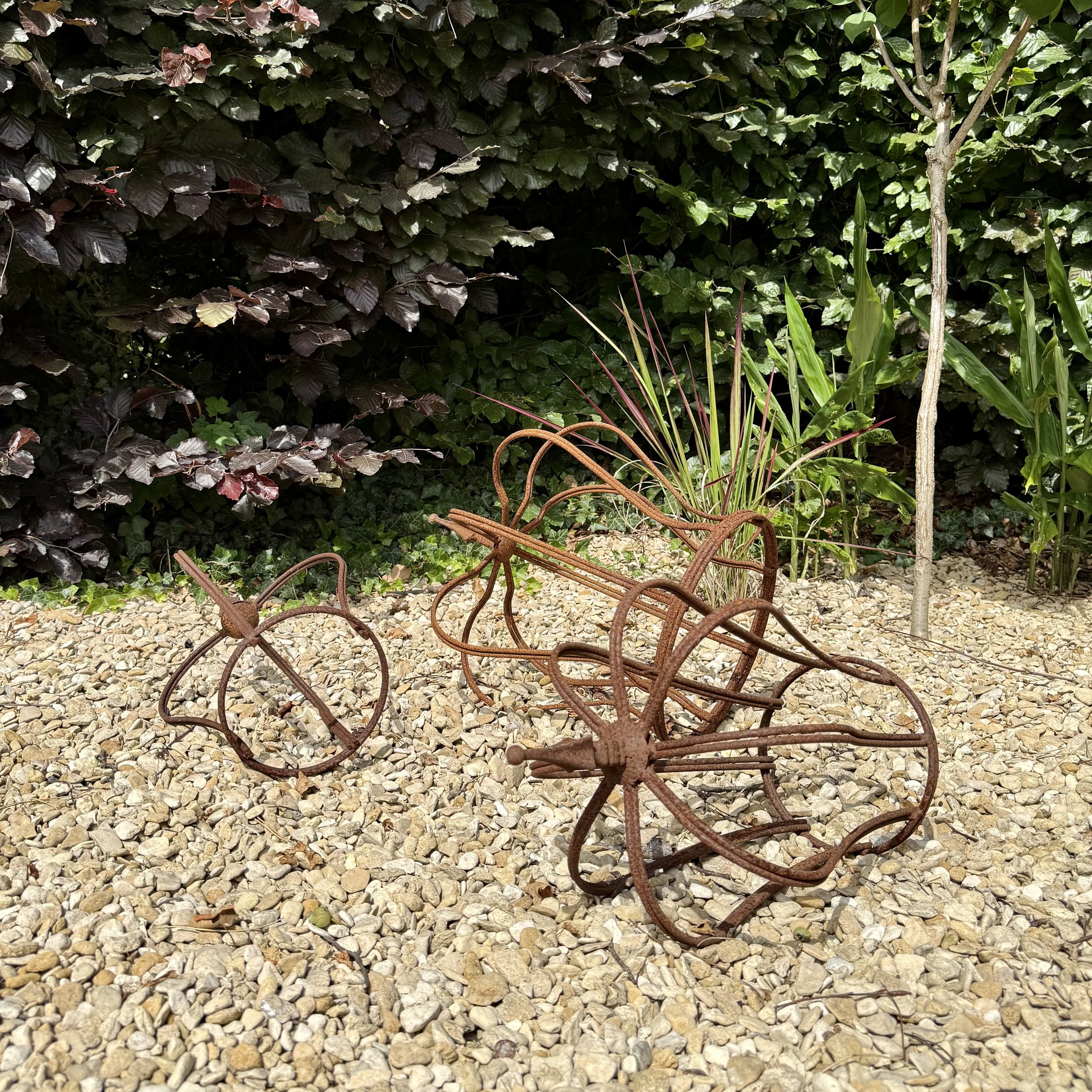 The king has lost his crown Asterion and Co.jpeg