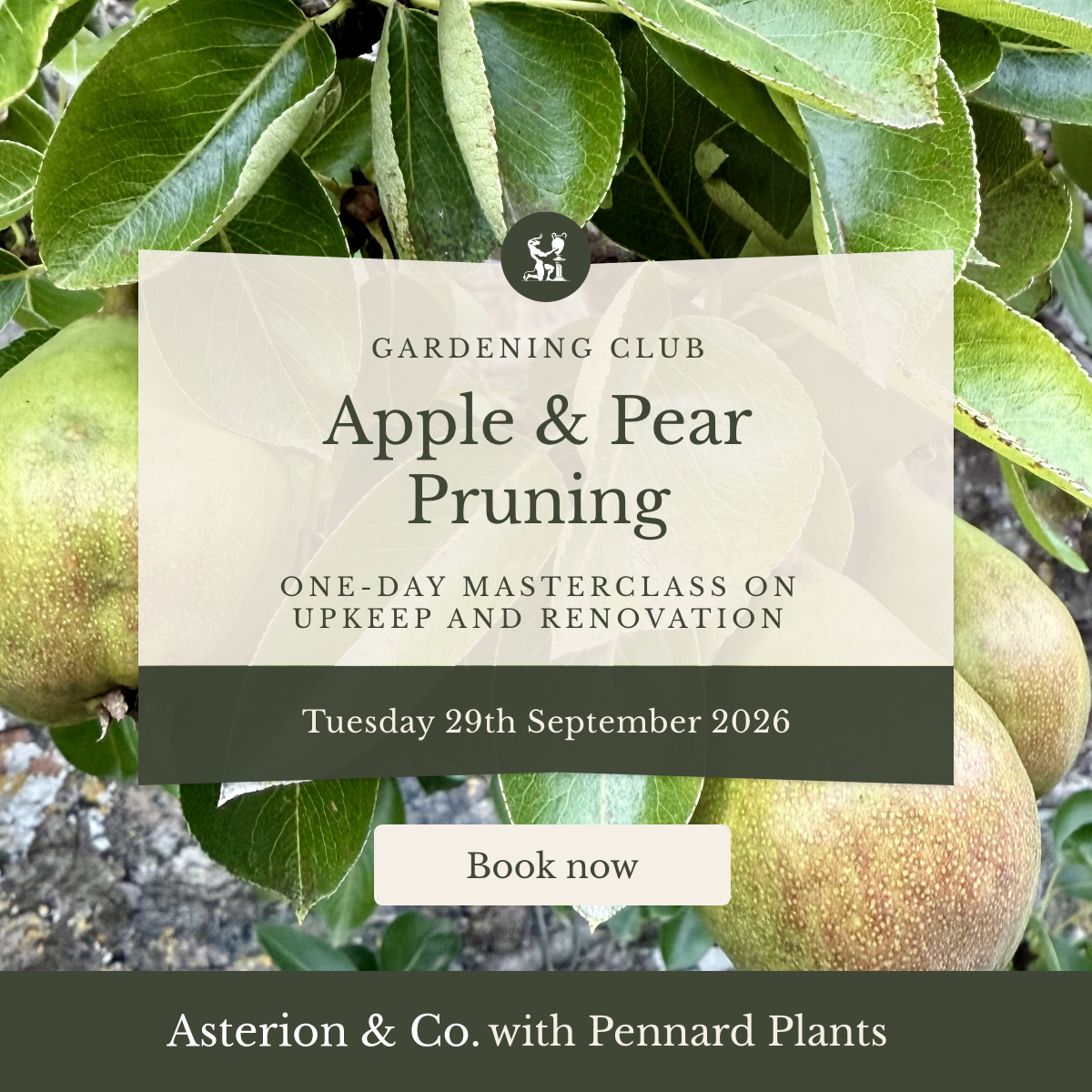 Apple & Pear Pruning: One-Day Masterclass on Upkeep and Renovation. | Tuesday 29th September 2026