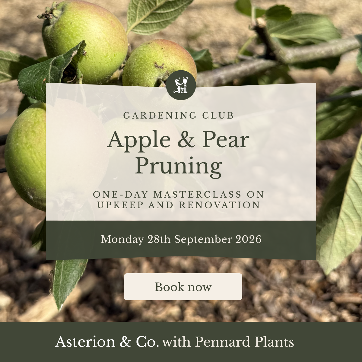 Apple & Pear Pruning: One-Day Masterclass on Upkeep and Renovation. |Monday 28th September 2026
