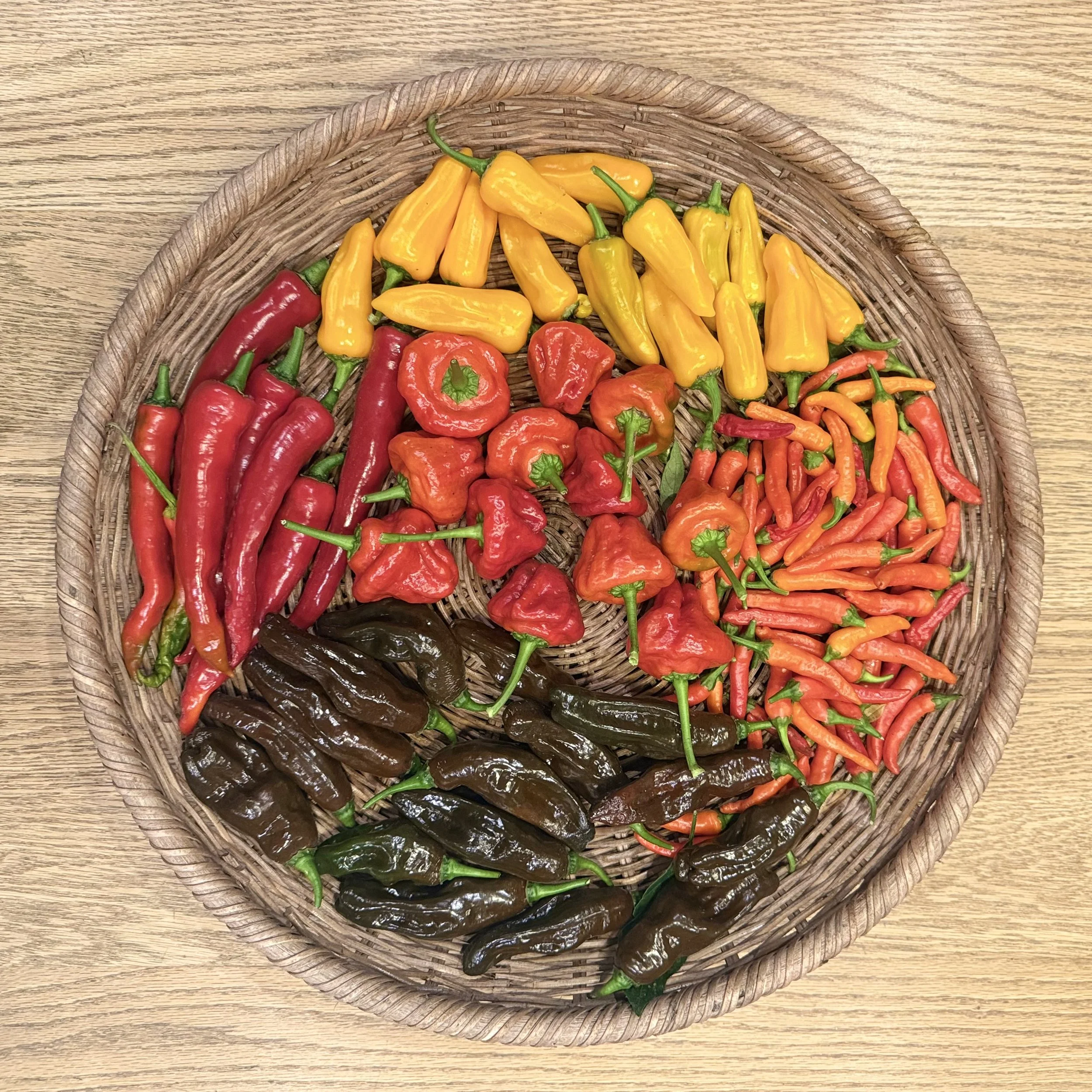 Chillies in basket Asterion and Co.jpeg