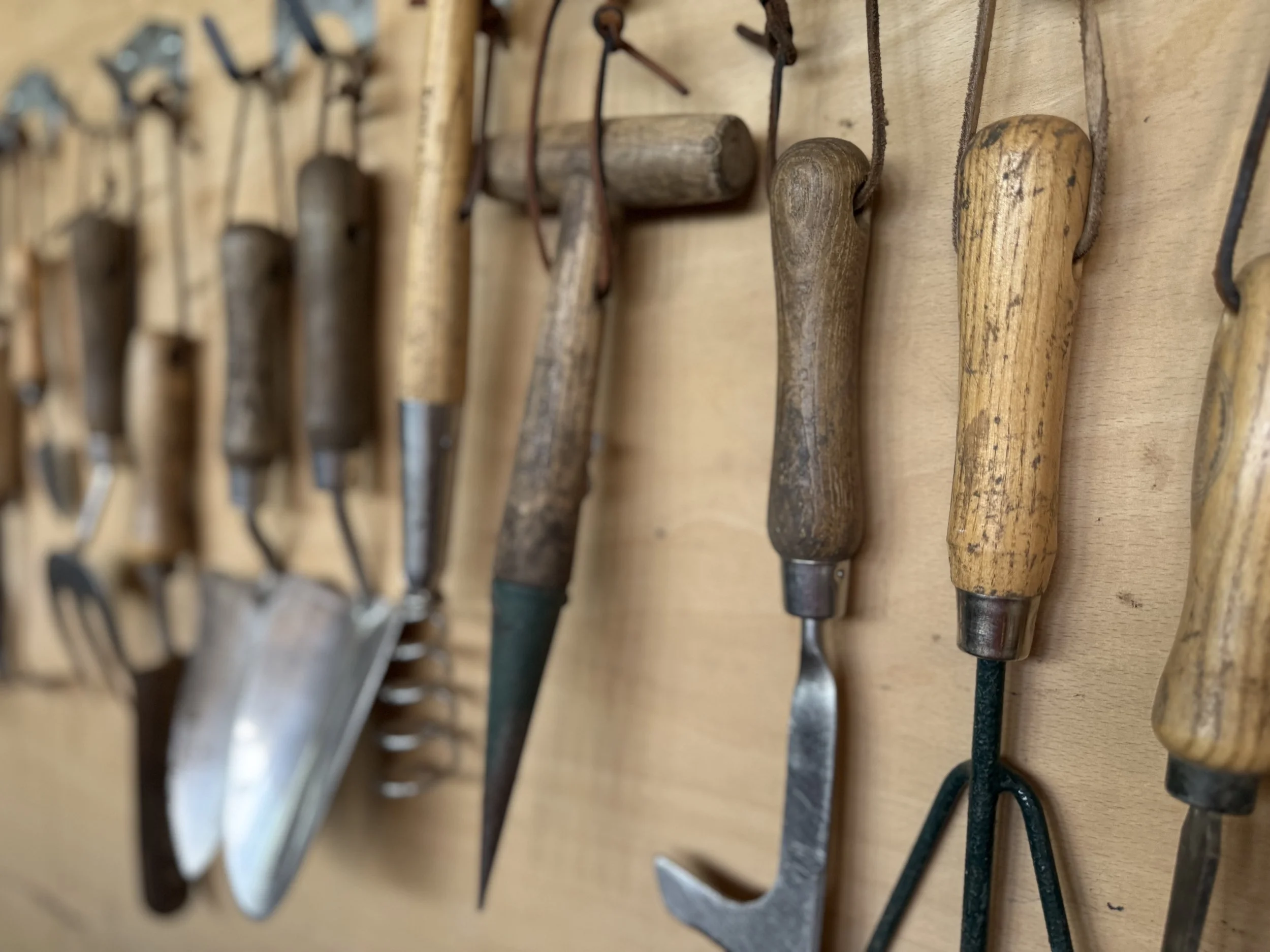 A variety of vintage gardening tools hanging on a wooden wall, including trowels, scrapers, and hoes with wooden handles.