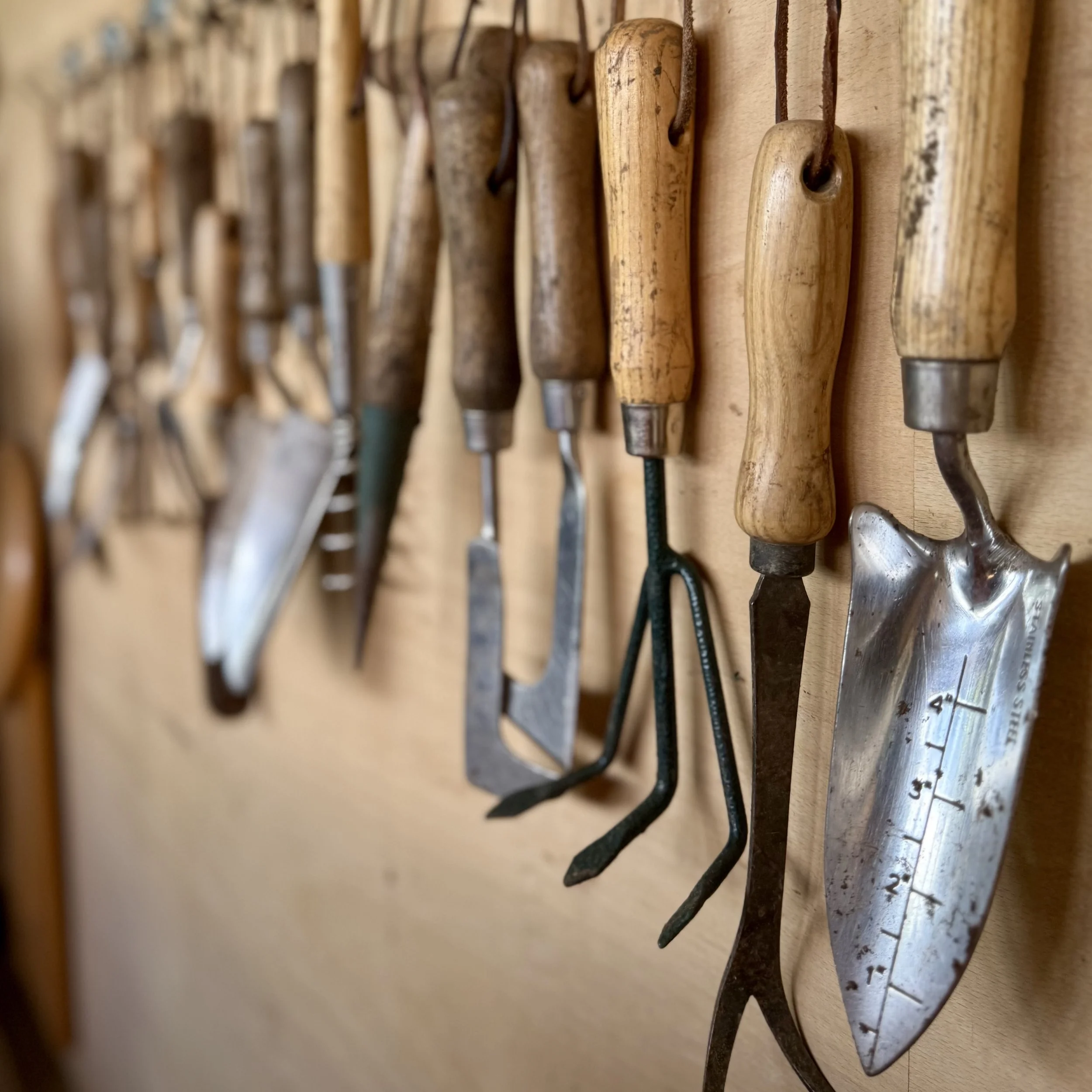 Hand tools in potting shed Asterion and Co.jpeg (Copy)