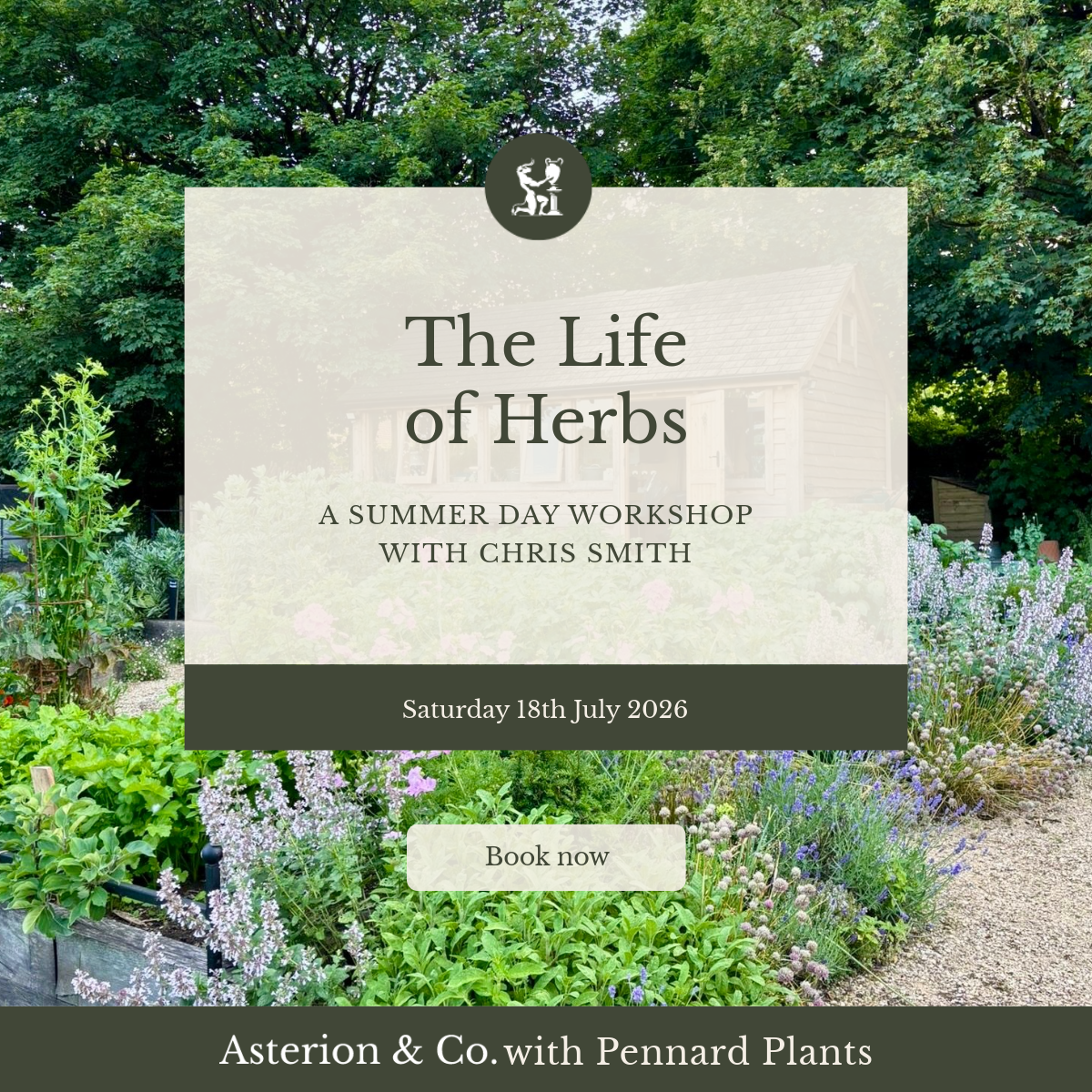 The Life of Herbs: A Summer Day Workshop. | Saturday 18th July 2026