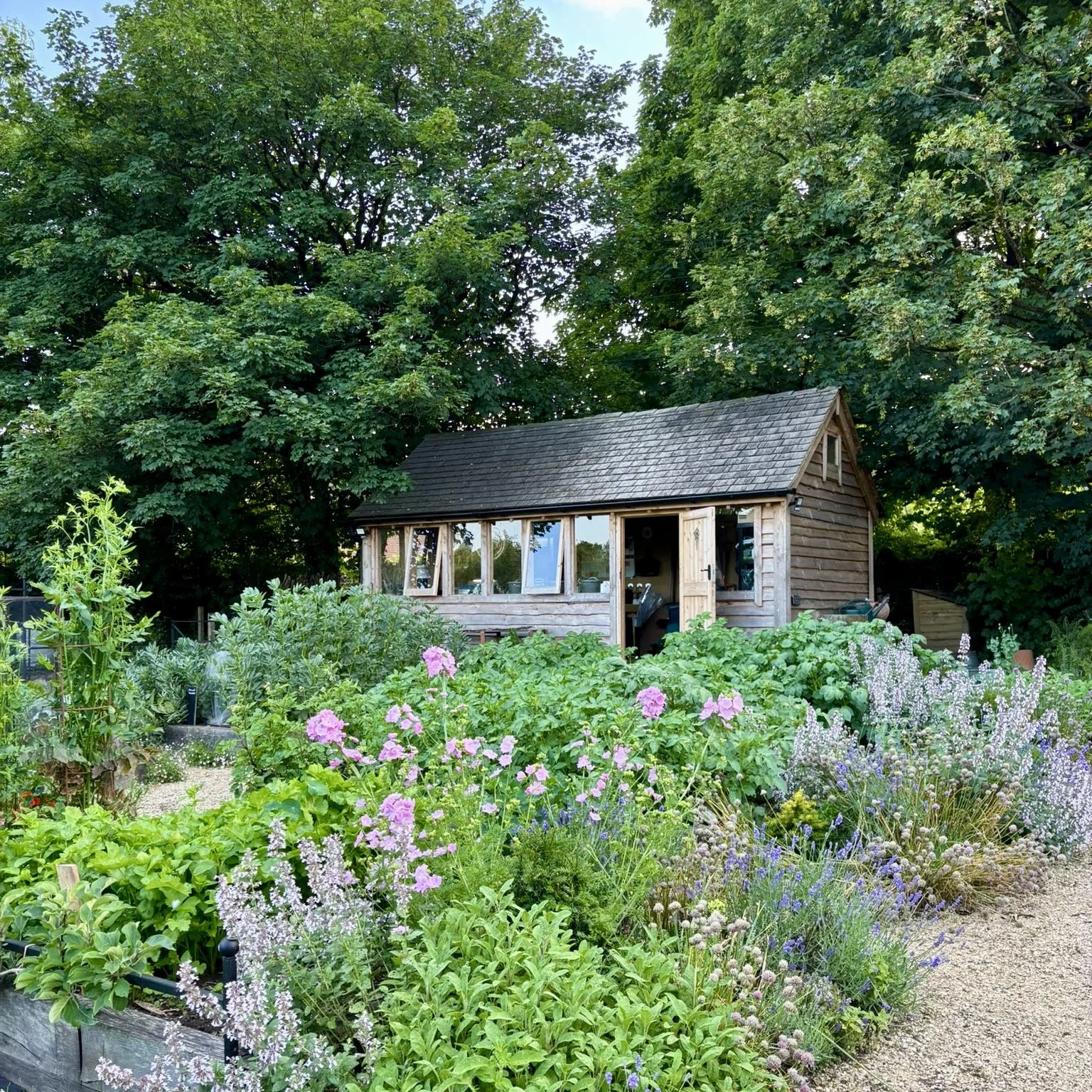 The Life of Herbs: A Two-Day Summer Course. |RESIDENTIAL. Monday 8th and Tuesday 9th June 2026.