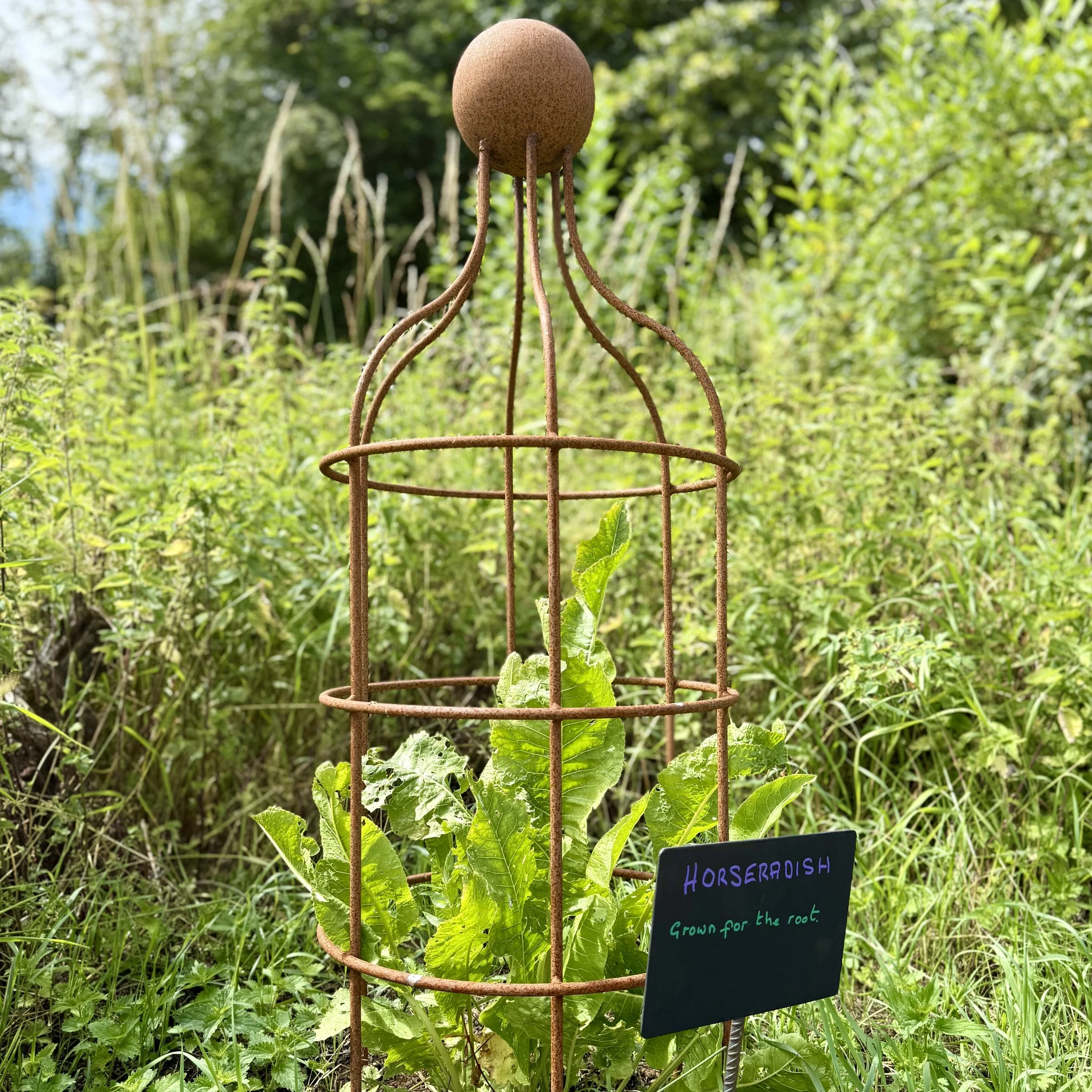 Horseradish is iron frame Asterion and Co.jpeg